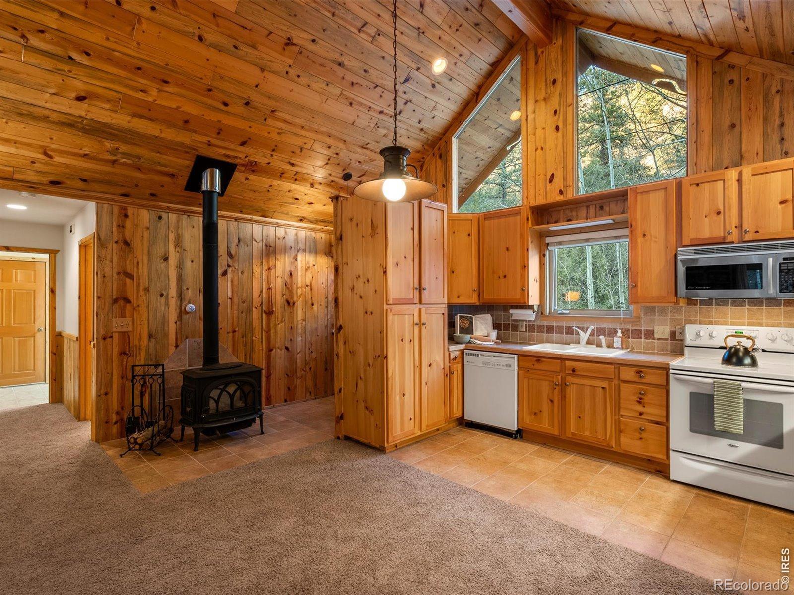 MLS Image #14 for 1035  streamside drive,drake, Colorado