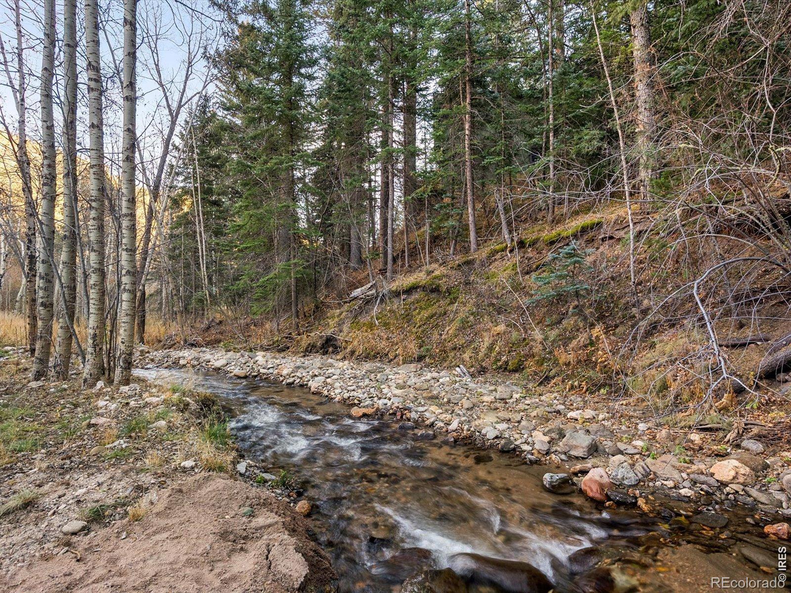 MLS Image #5 for 1035  streamside drive,drake, Colorado