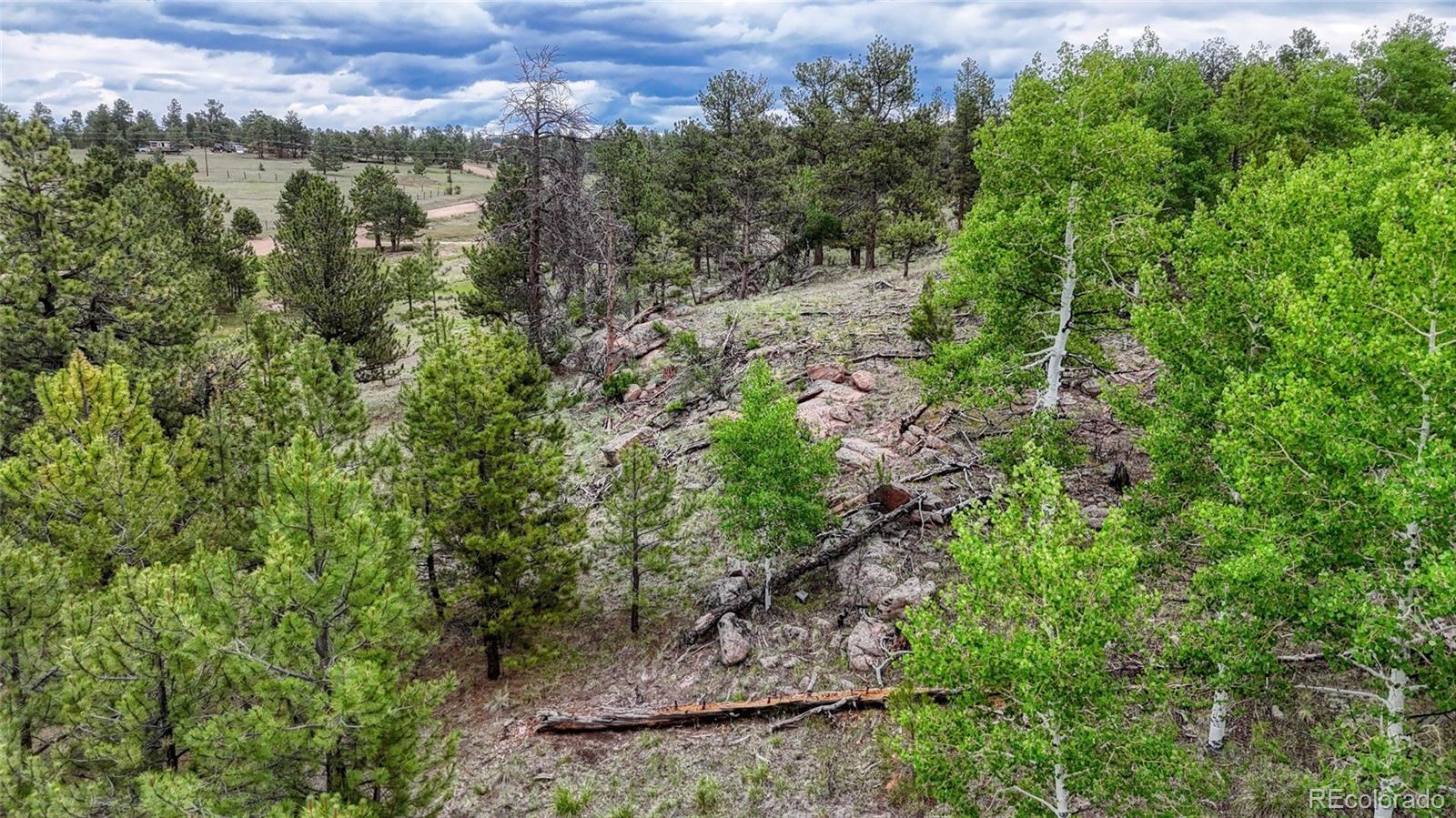 MLS Image #14 for 330  arrowhead drive,florissant, Colorado