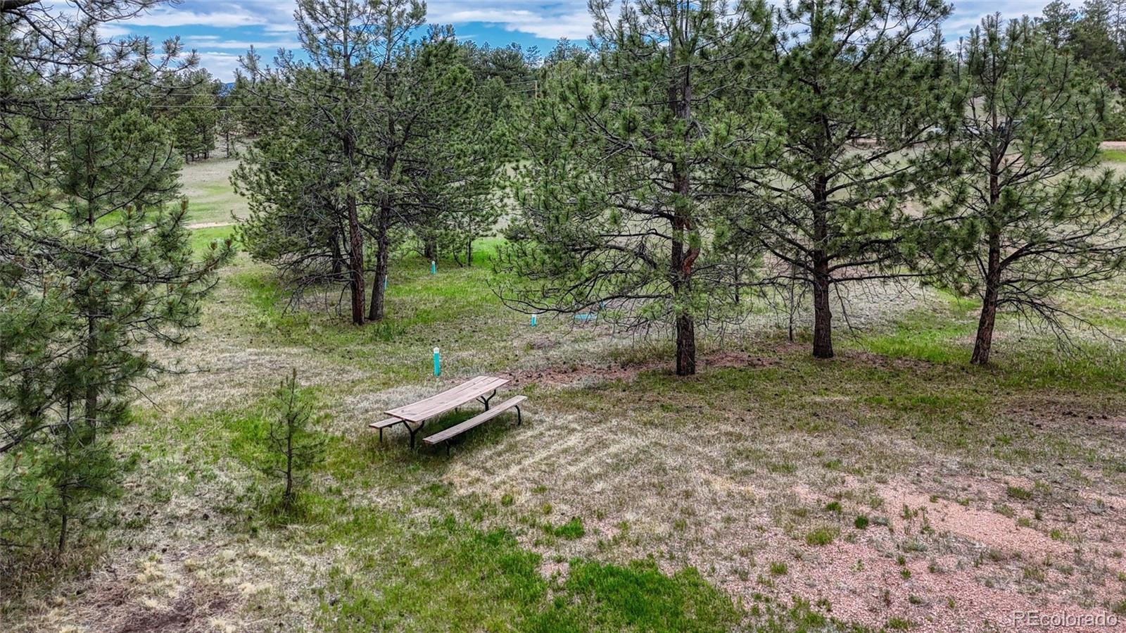 MLS Image #16 for 330  arrowhead drive,florissant, Colorado