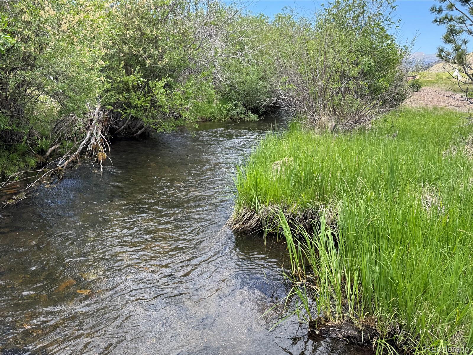 MLS Image #3 for 49903  county road ll56 ,villa grove, Colorado