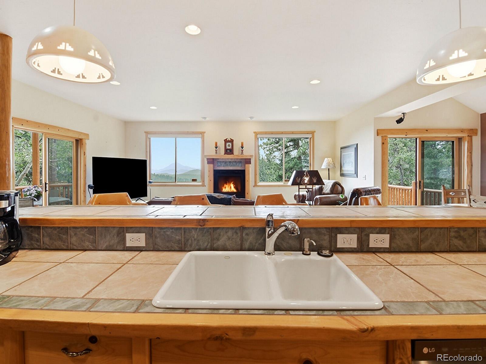 MLS Image #10 for 1407  delwood drive,bailey, Colorado