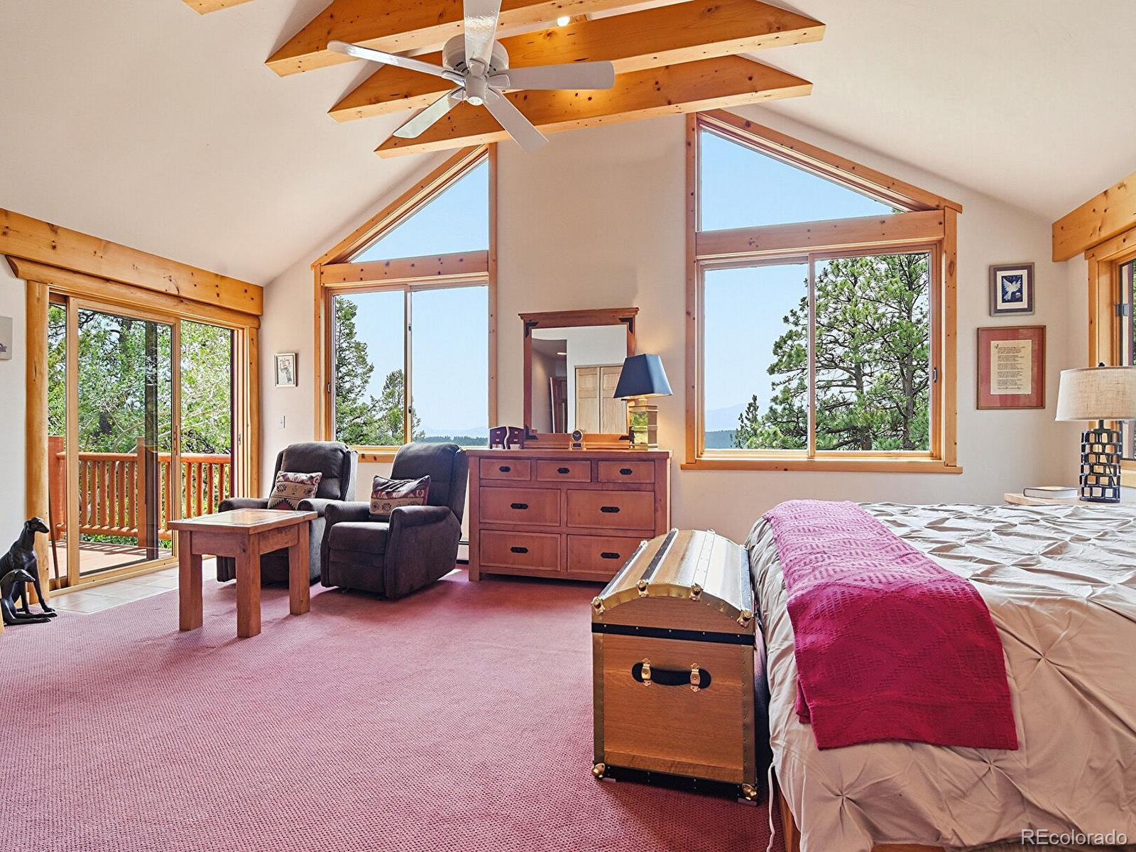 MLS Image #14 for 1407  delwood drive,bailey, Colorado