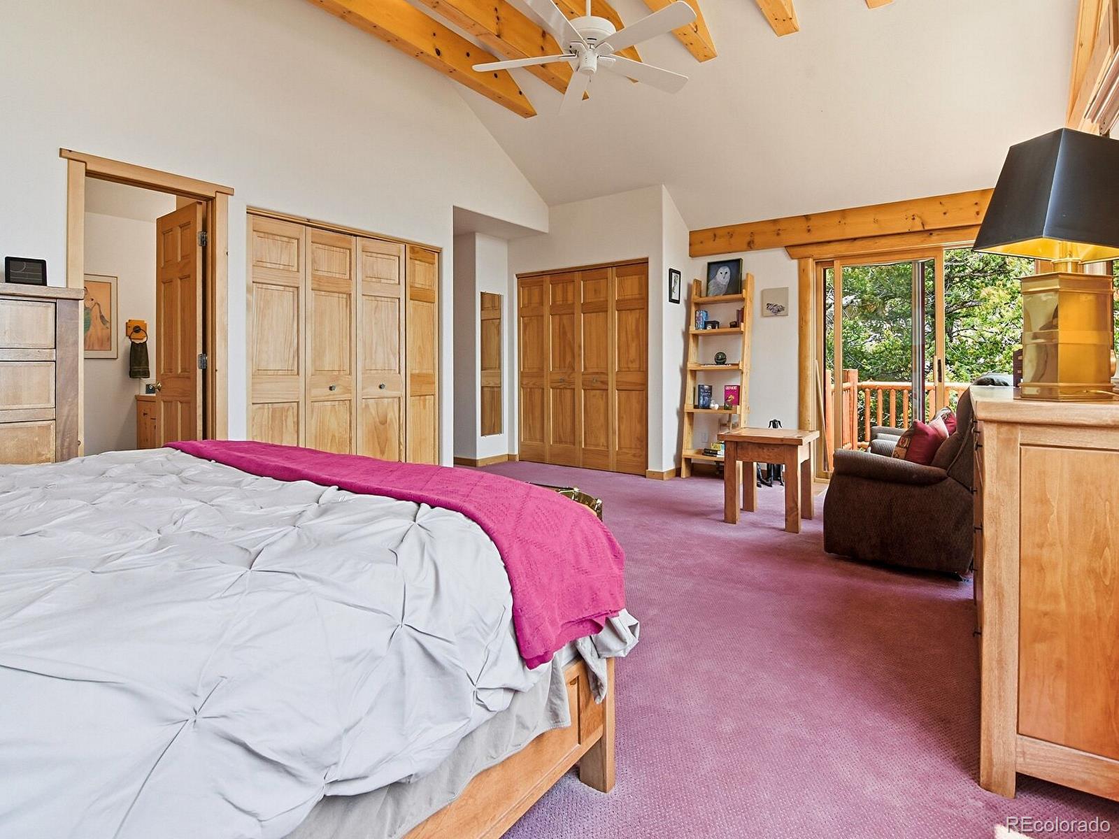 MLS Image #15 for 1407  delwood drive,bailey, Colorado