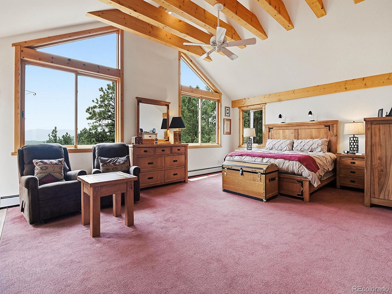 MLS Image #16 for 1407  delwood drive,bailey, Colorado