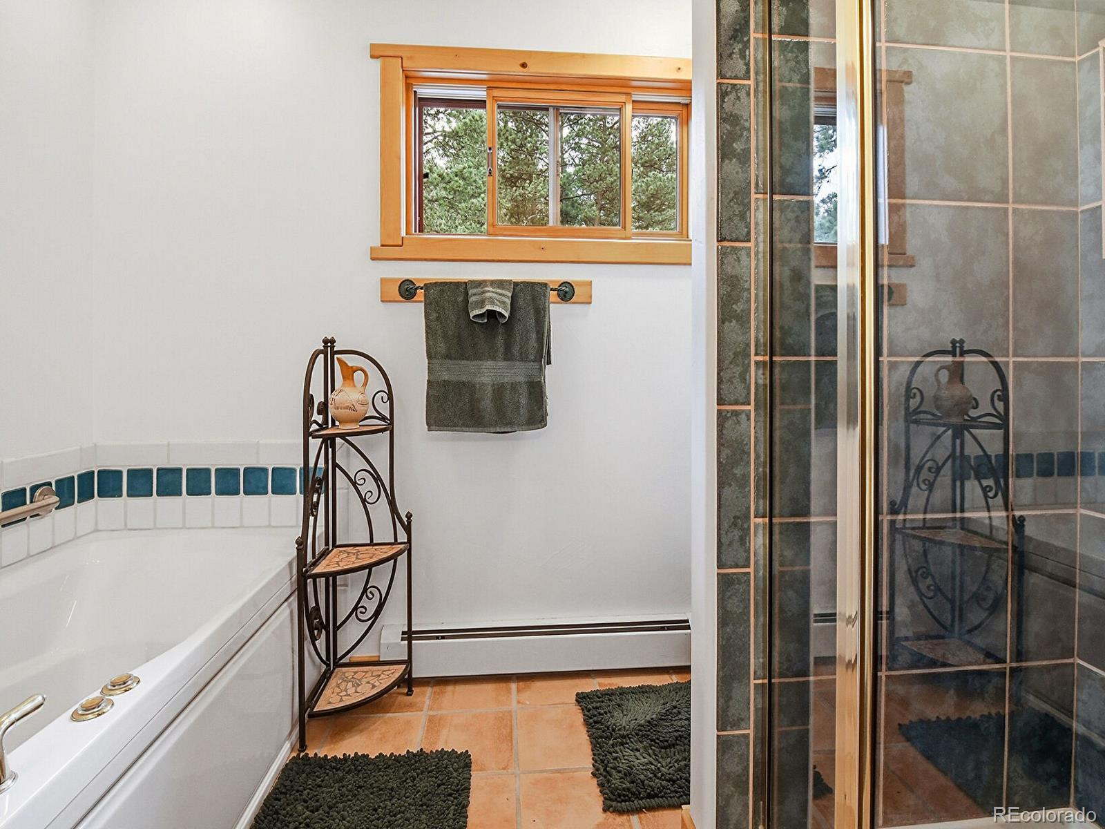 MLS Image #18 for 1407  delwood drive,bailey, Colorado