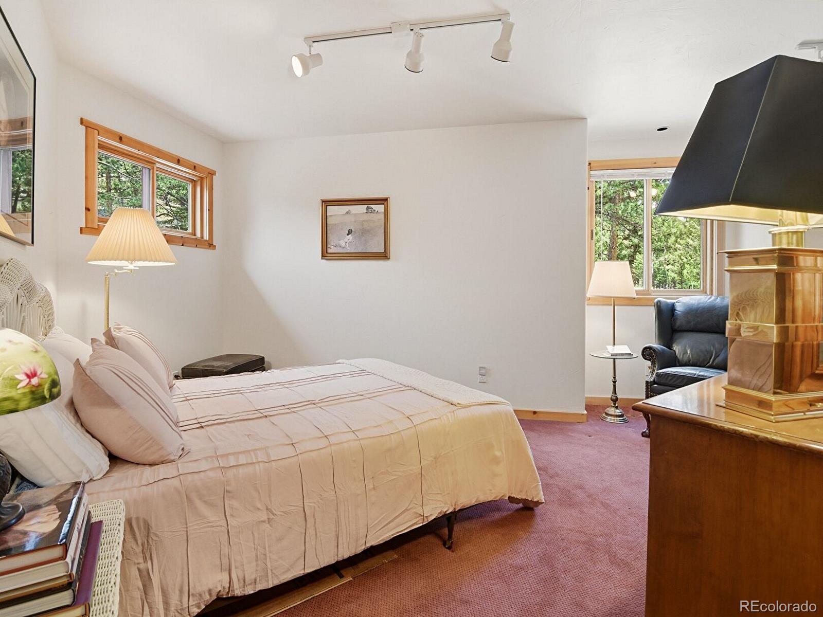 MLS Image #19 for 1407  delwood drive,bailey, Colorado