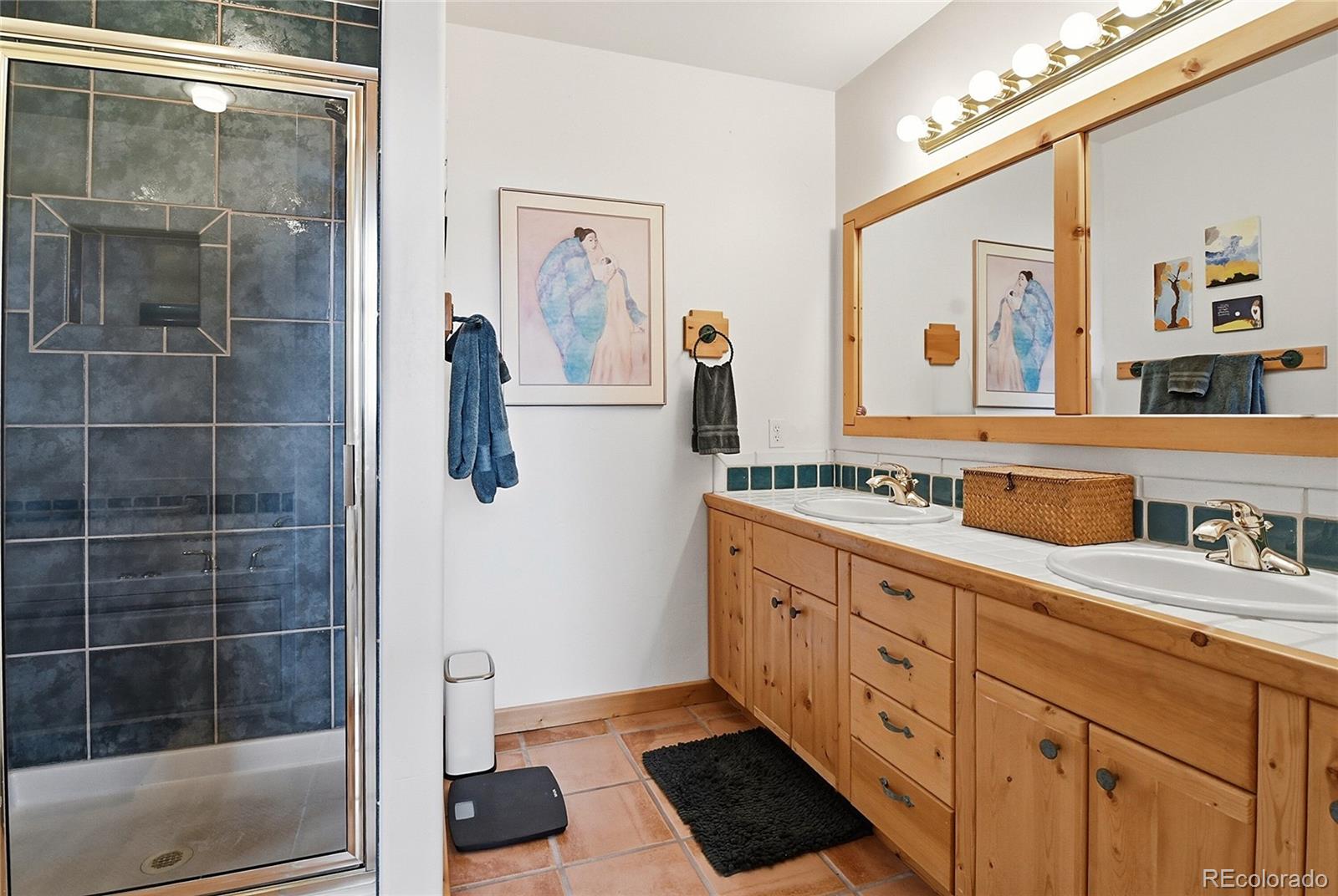 MLS Image #20 for 1407  delwood drive,bailey, Colorado