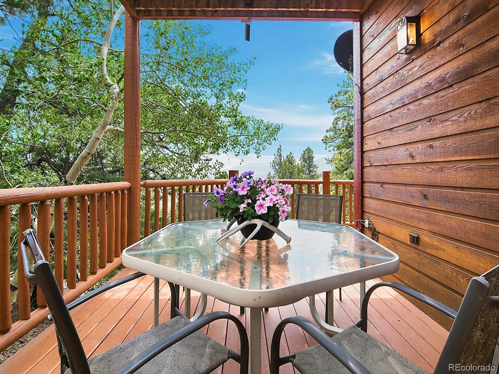 MLS Image #28 for 1407  delwood drive,bailey, Colorado