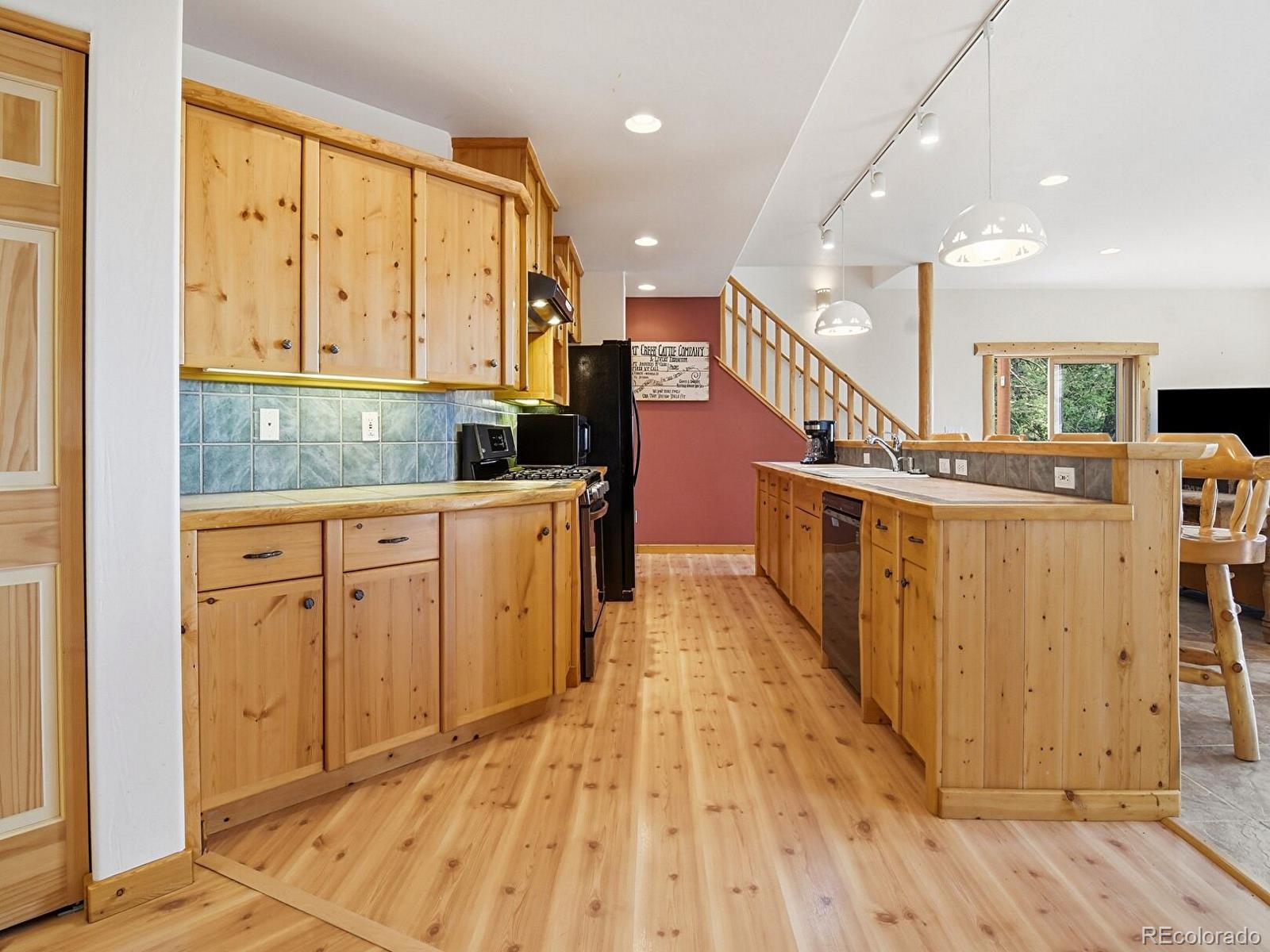 MLS Image #8 for 1407  delwood drive,bailey, Colorado