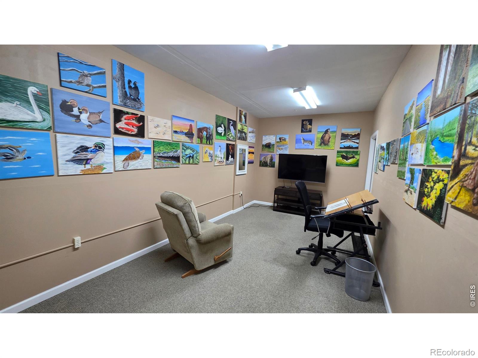 MLS Image #25 for 14189  sun blaze loop,broomfield, Colorado