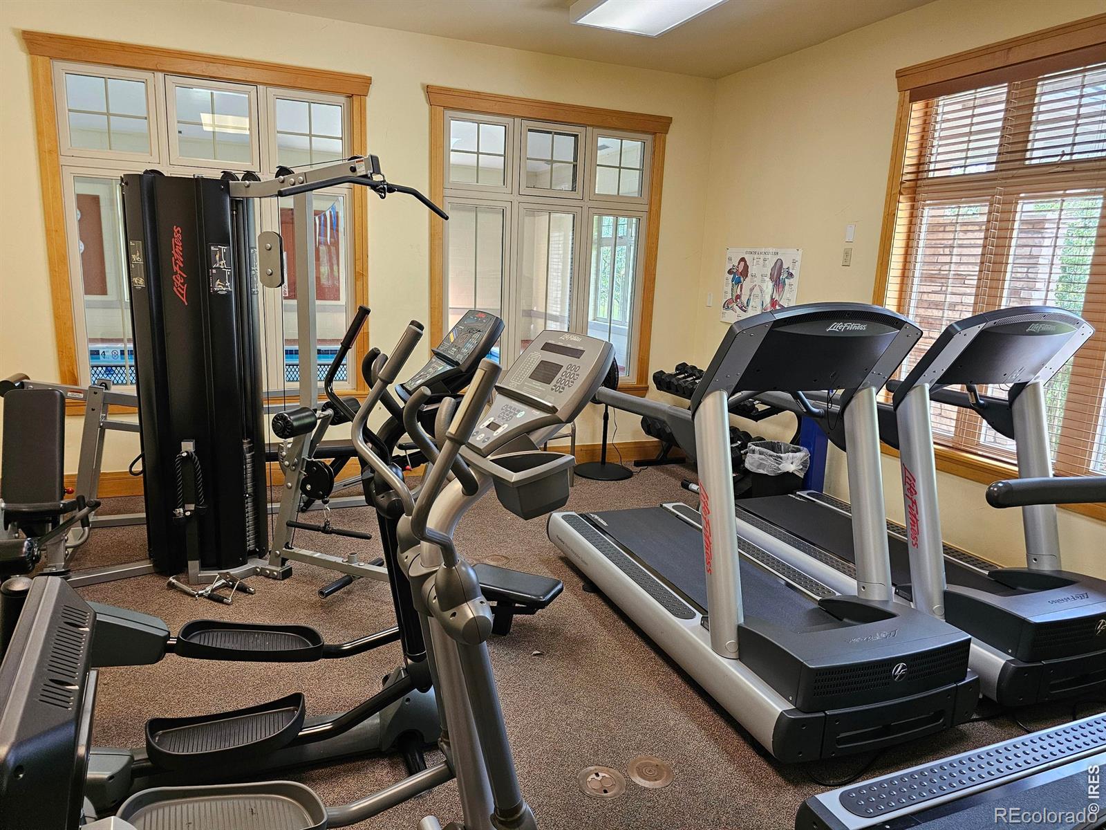 MLS Image #29 for 14189  sun blaze loop,broomfield, Colorado