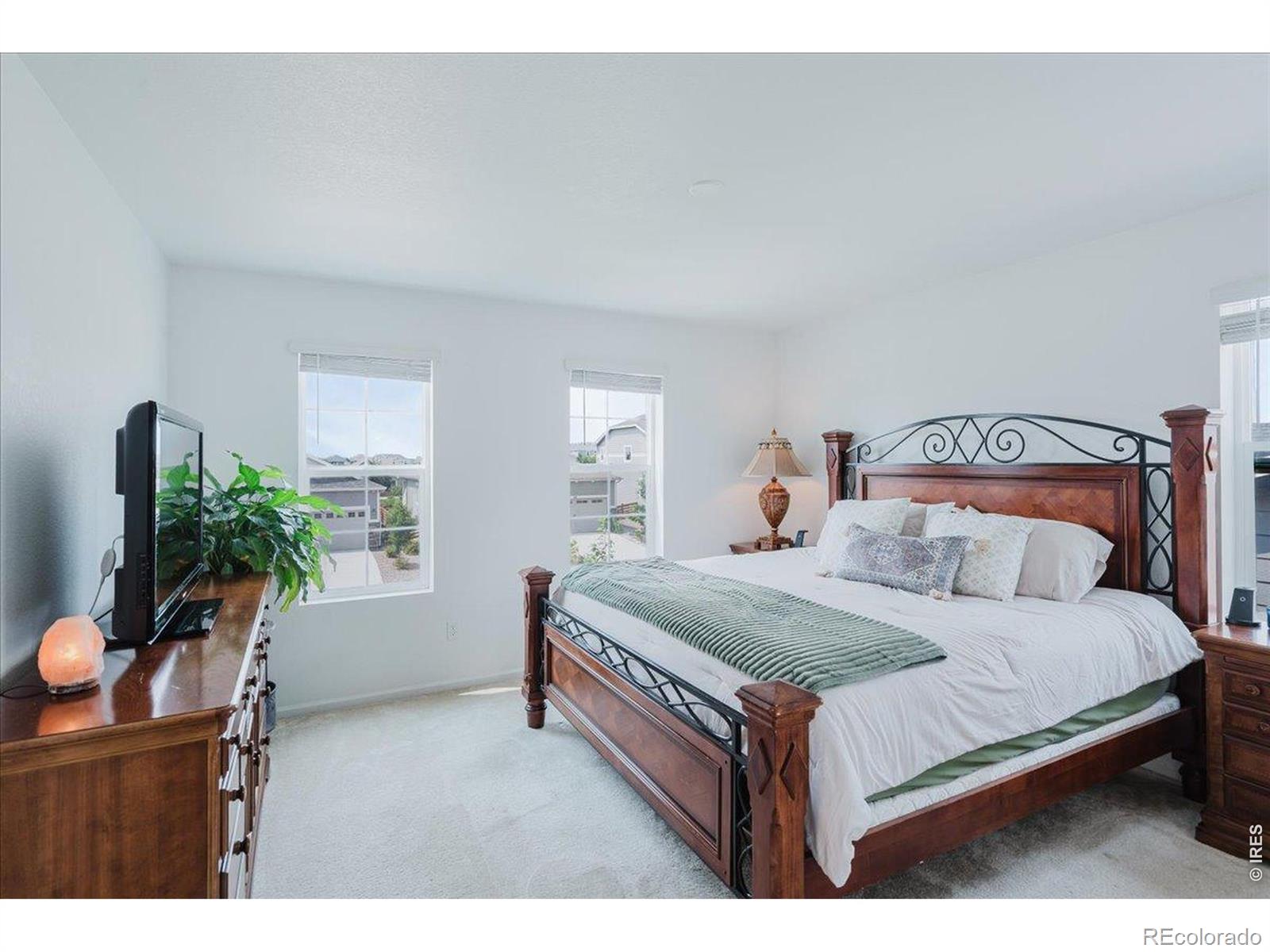MLS Image #17 for 737  audubon peak drive,erie, Colorado