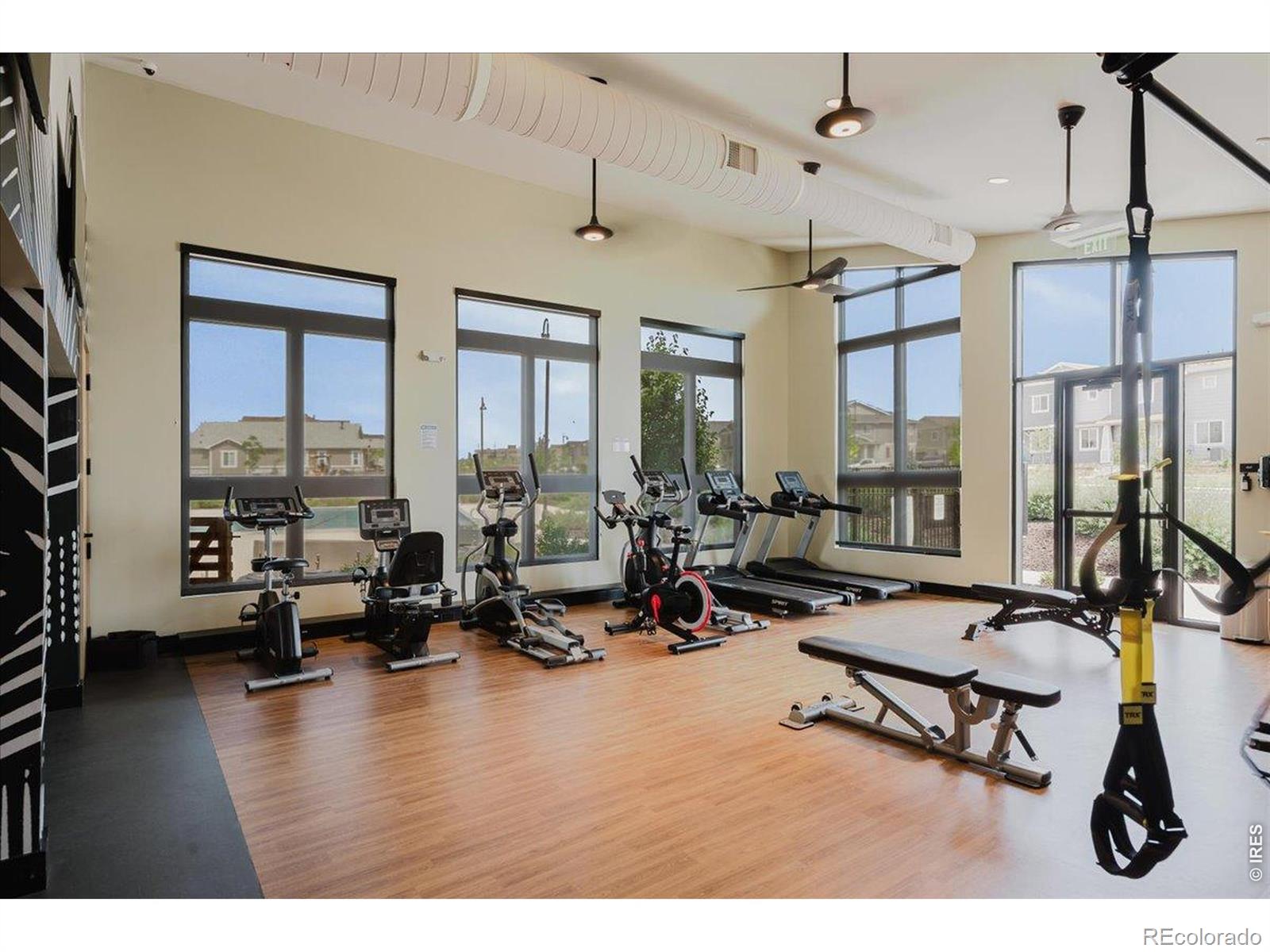 MLS Image #29 for 737  audubon peak drive,erie, Colorado