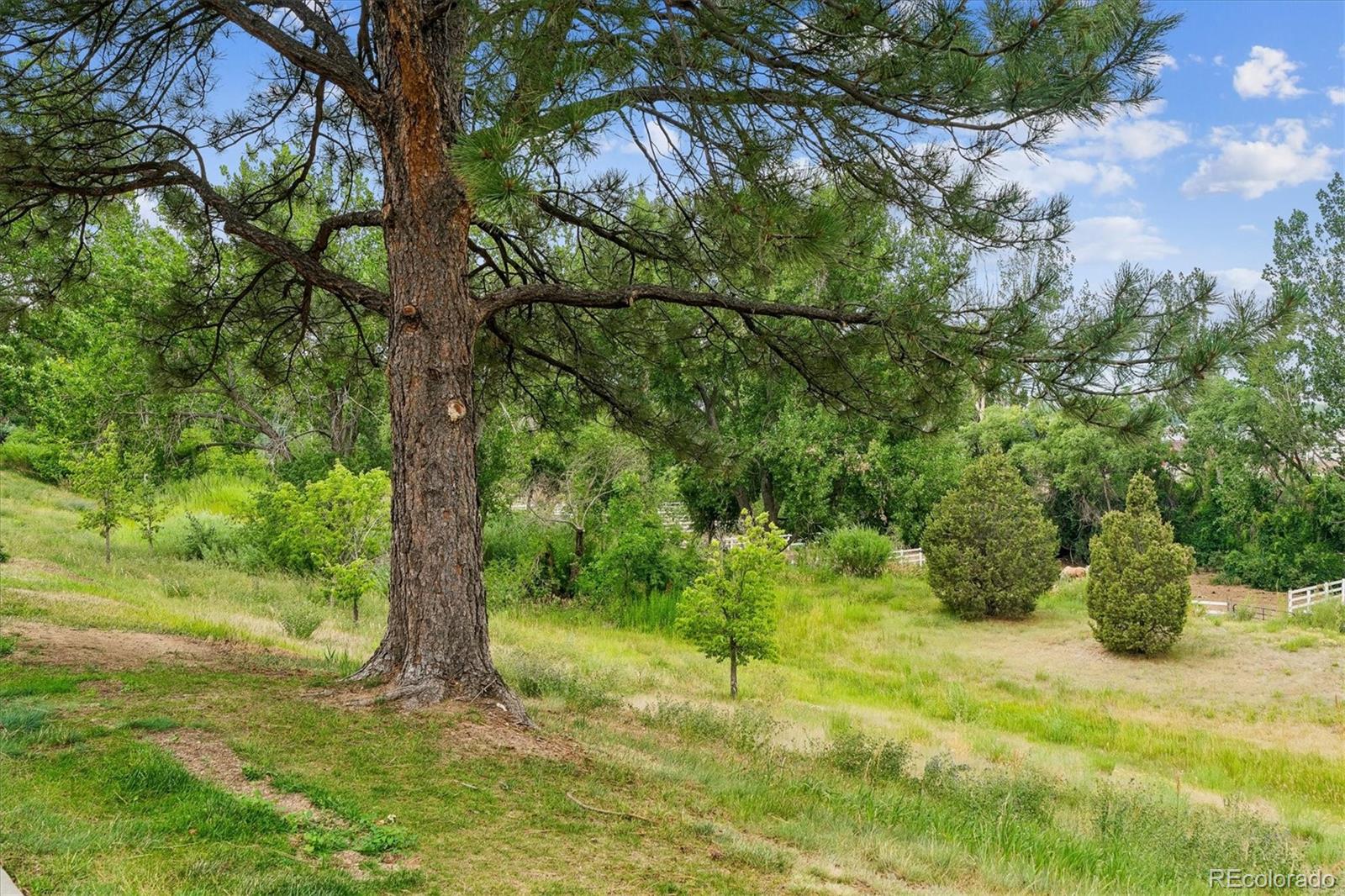 MLS Image #3 for 2910 w long circle,littleton, Colorado