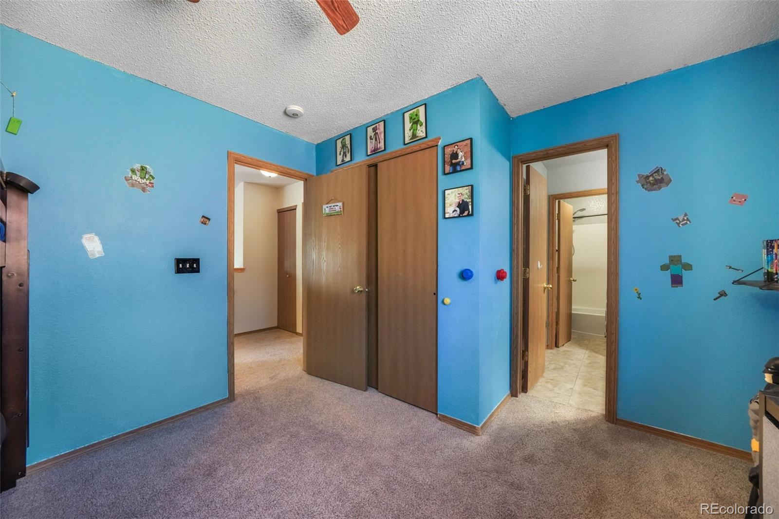 MLS Image #25 for 4412  bramble lane,colorado springs, Colorado
