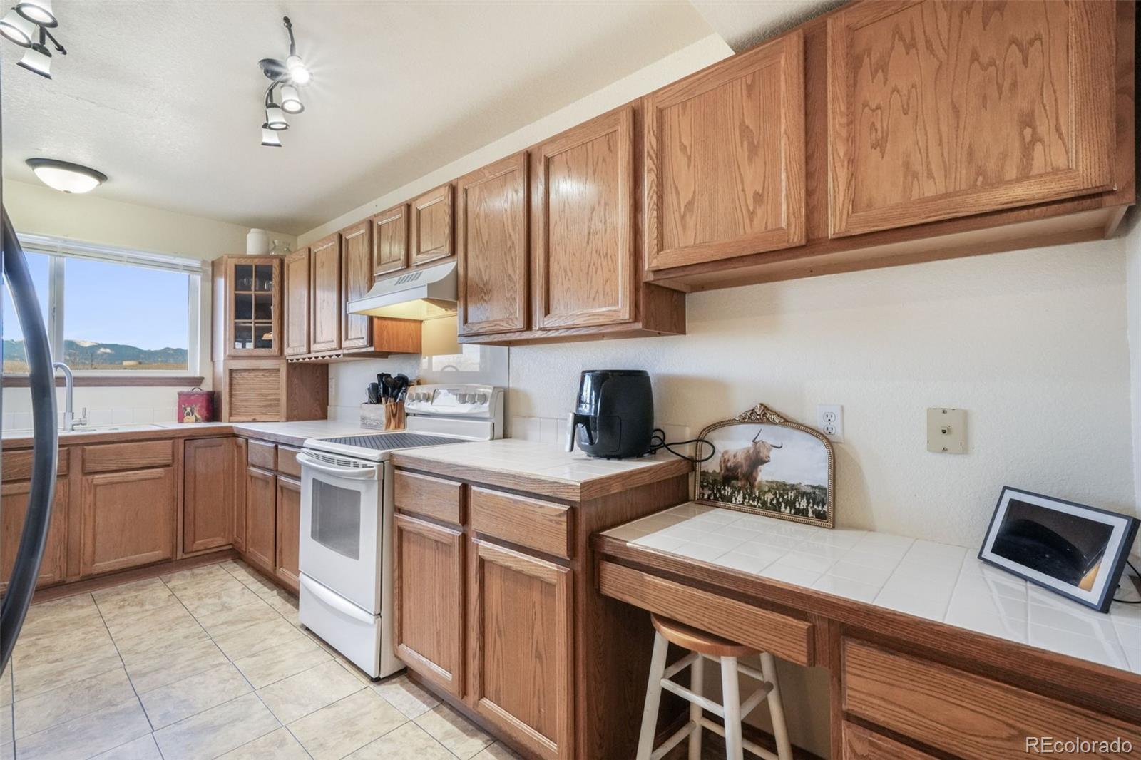 MLS Image #37 for 4412  bramble lane,colorado springs, Colorado
