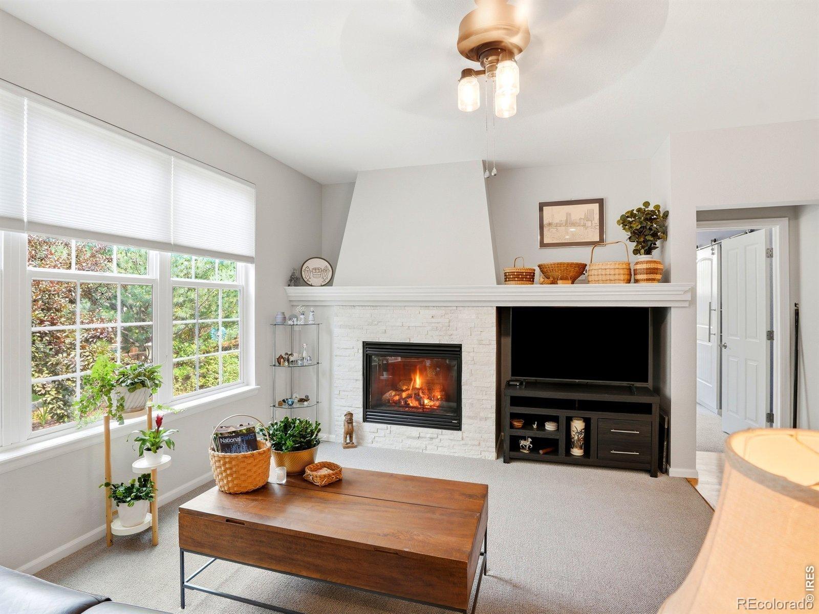 MLS Image #24 for 227  castro place,erie, Colorado