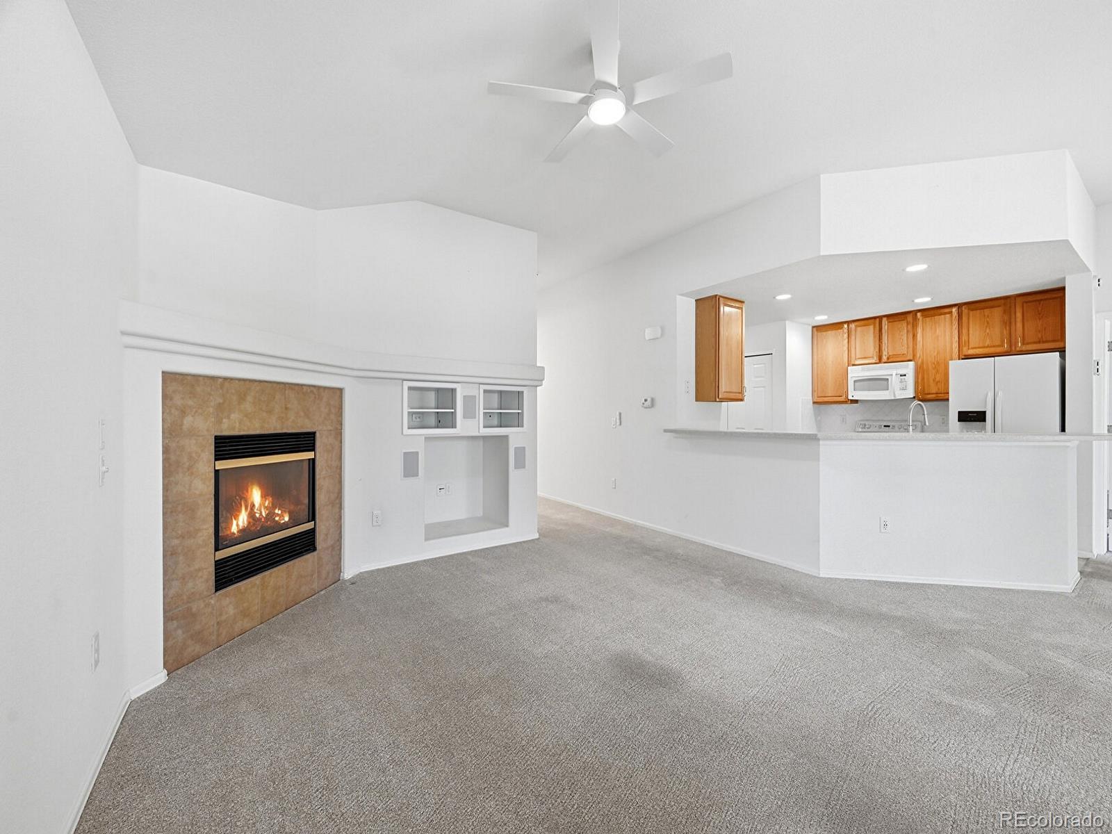 MLS Image #10 for 8219 s winnipeg court,aurora, Colorado