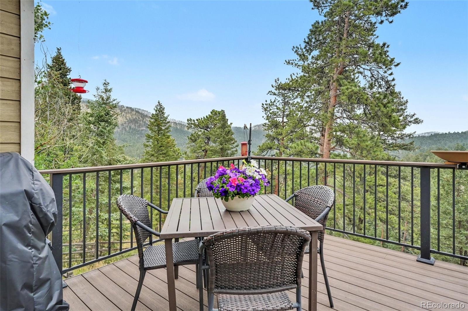 MLS Image #31 for 33926  columbine circle,evergreen, Colorado