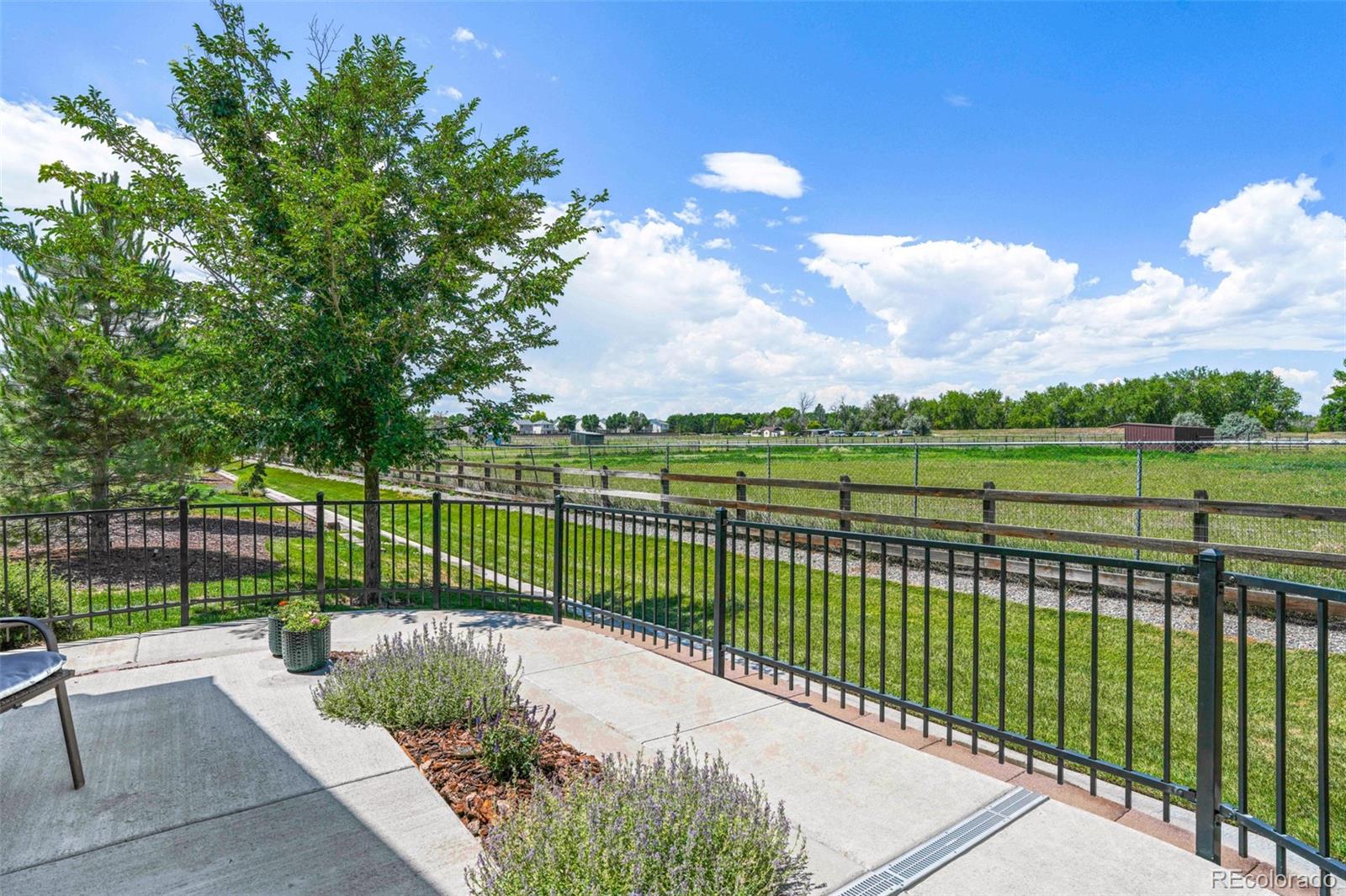 MLS Image #2 for 12617  monroe drive,thornton, Colorado