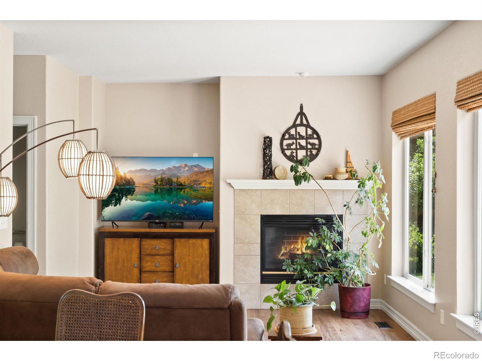 MLS Image #9 for 639  americana road,longmont, Colorado