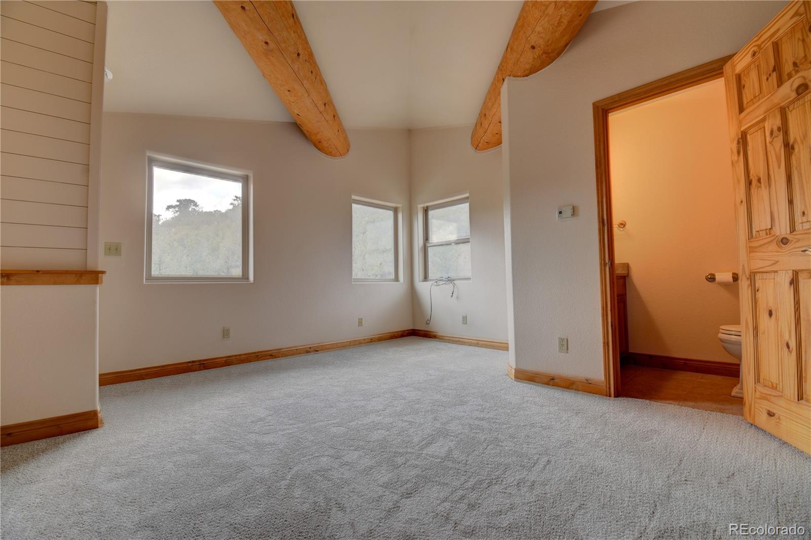 MLS Image #28 for 12650  eagle meadow trail,salida, Colorado