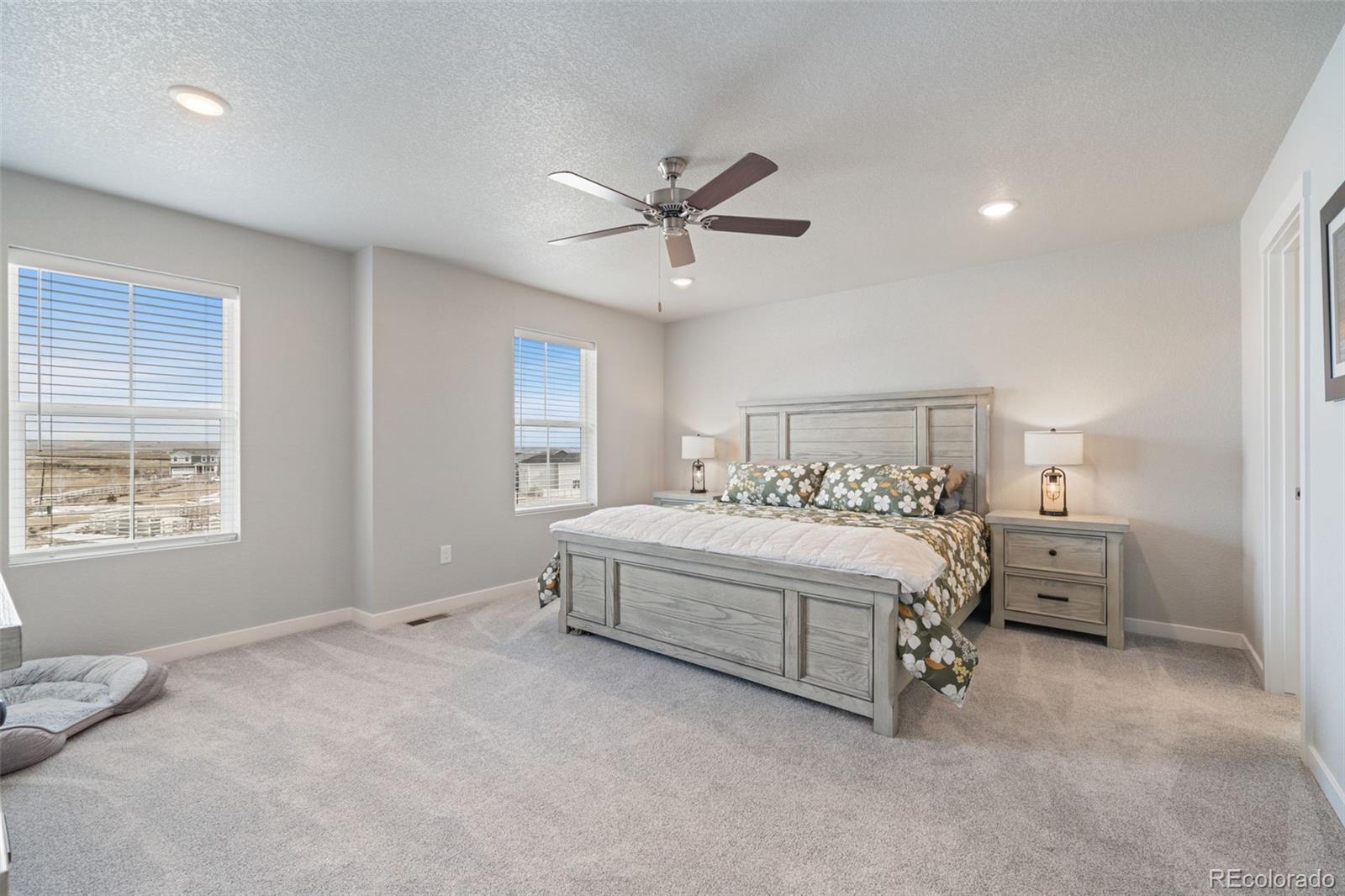 MLS Image #18 for 5105  beartrack point,colorado springs, Colorado