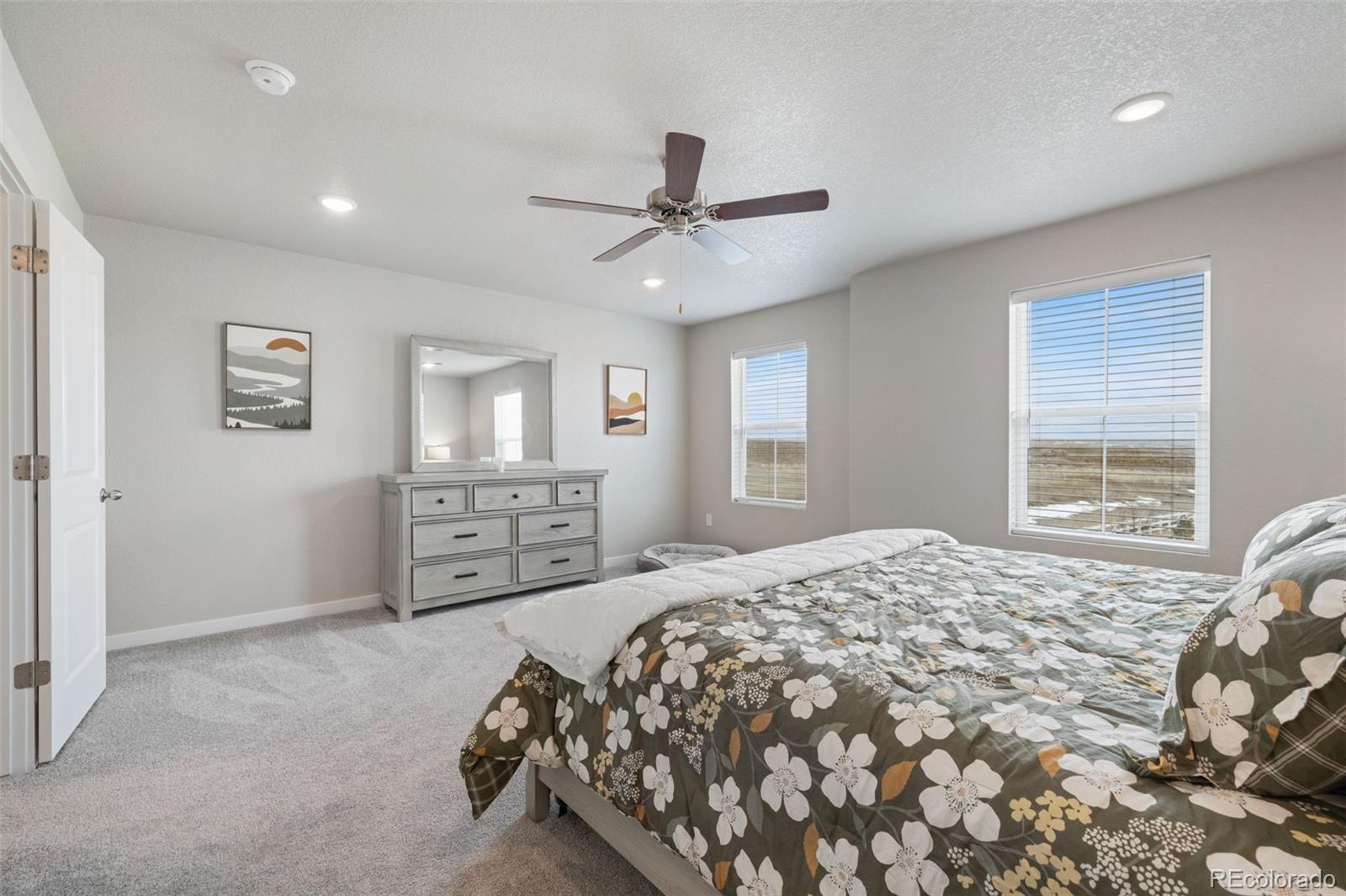 MLS Image #19 for 5105  beartrack point,colorado springs, Colorado