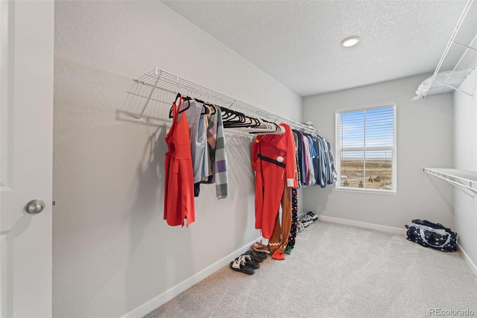 MLS Image #21 for 5105  beartrack point,colorado springs, Colorado