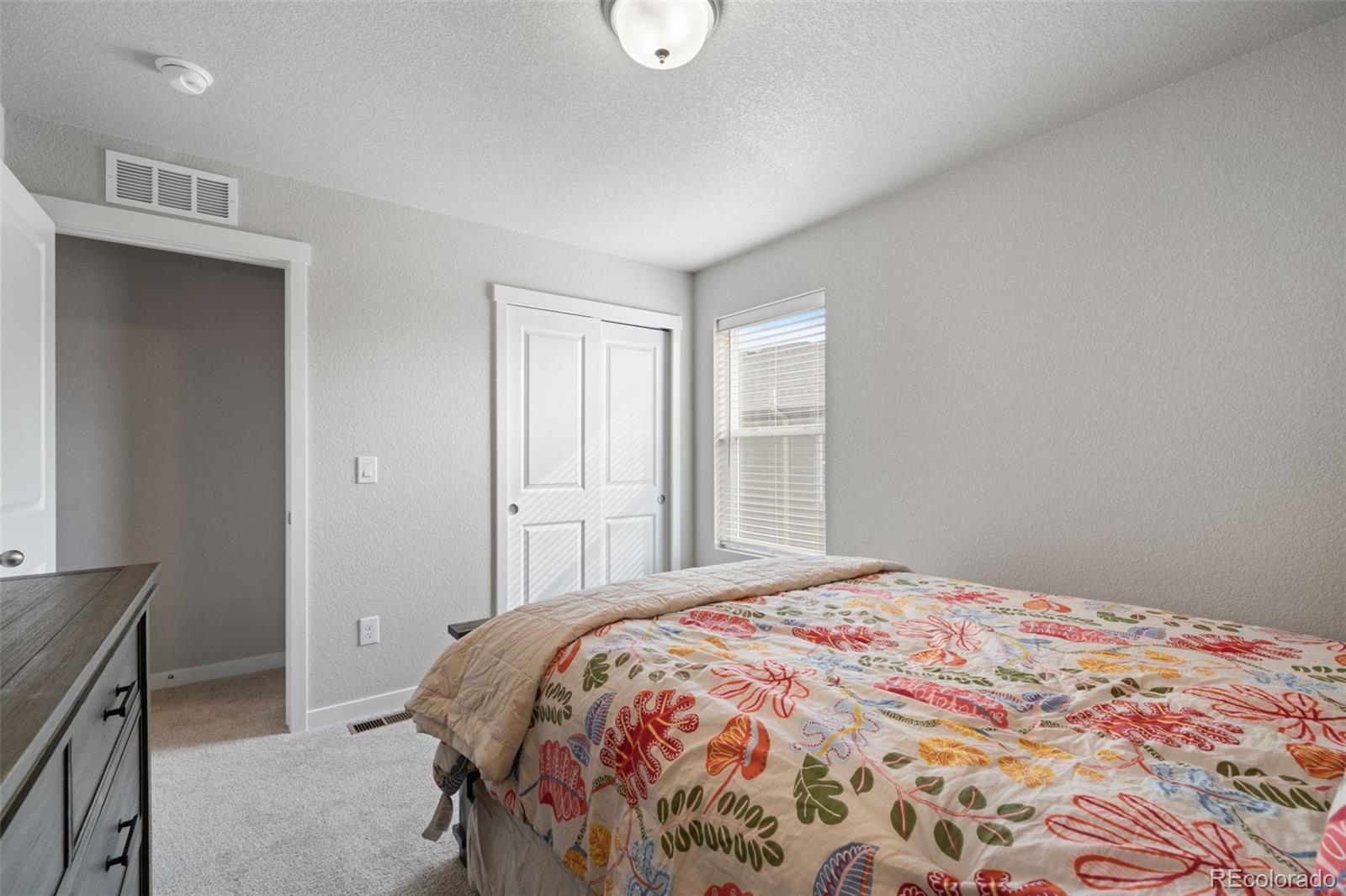 MLS Image #33 for 5105  beartrack point,colorado springs, Colorado