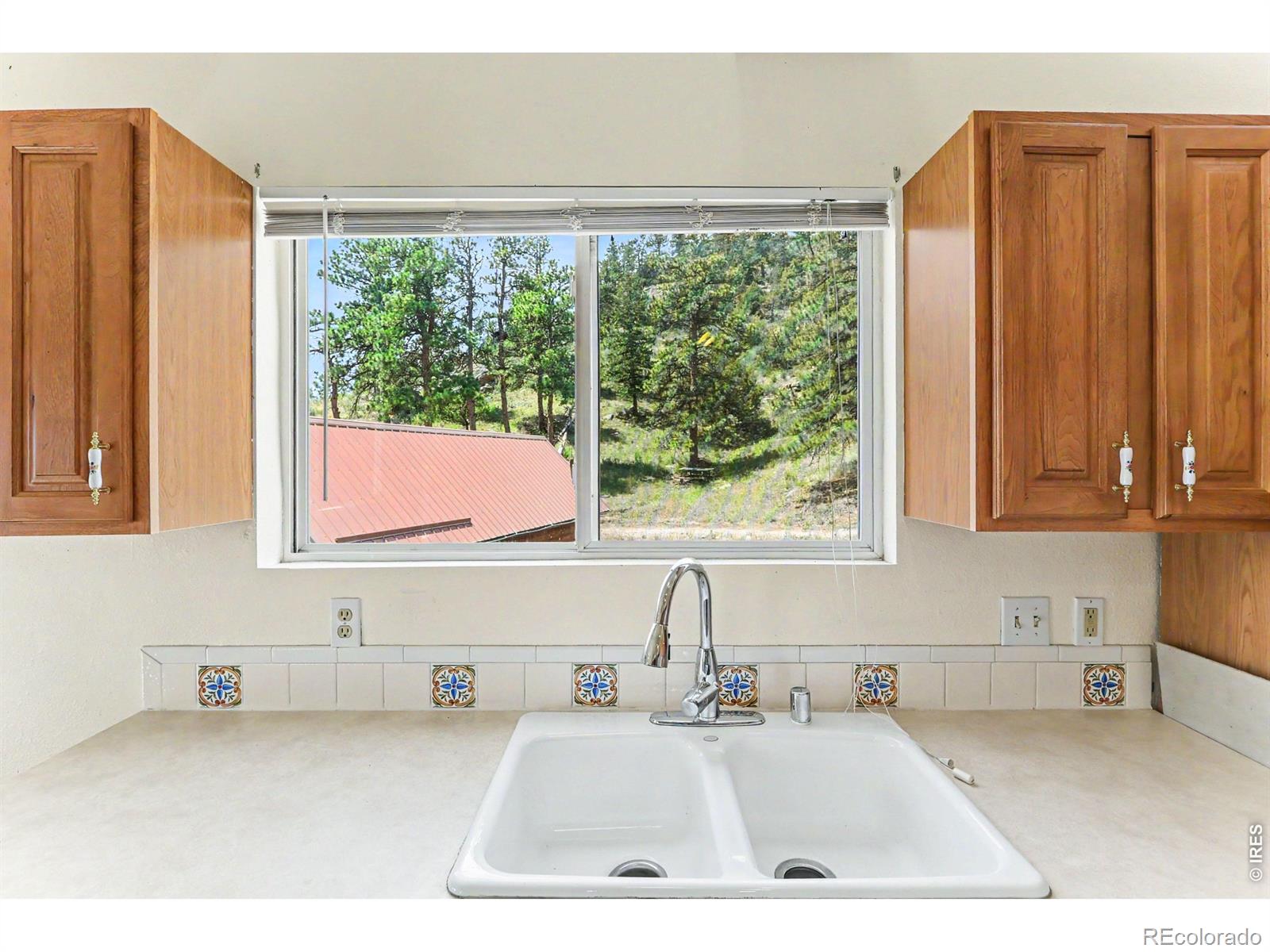 MLS Image #11 for 115  paca view court,livermore, Colorado