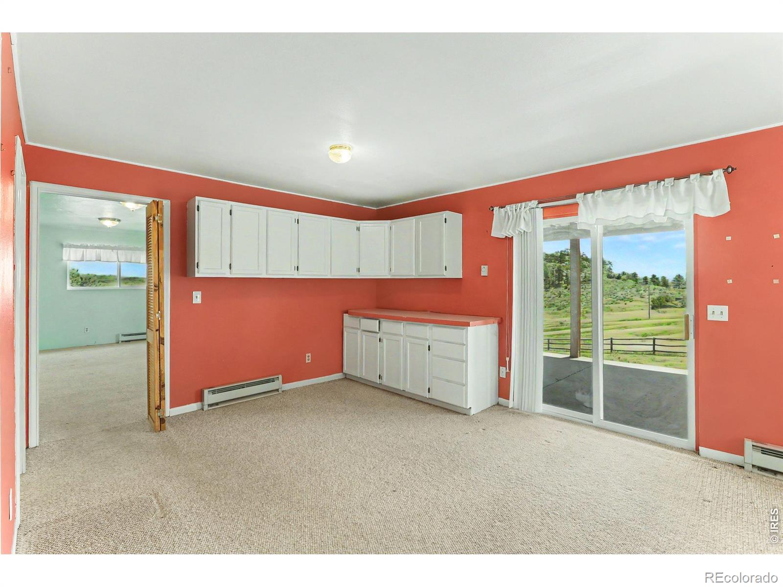 MLS Image #21 for 115  paca view court,livermore, Colorado