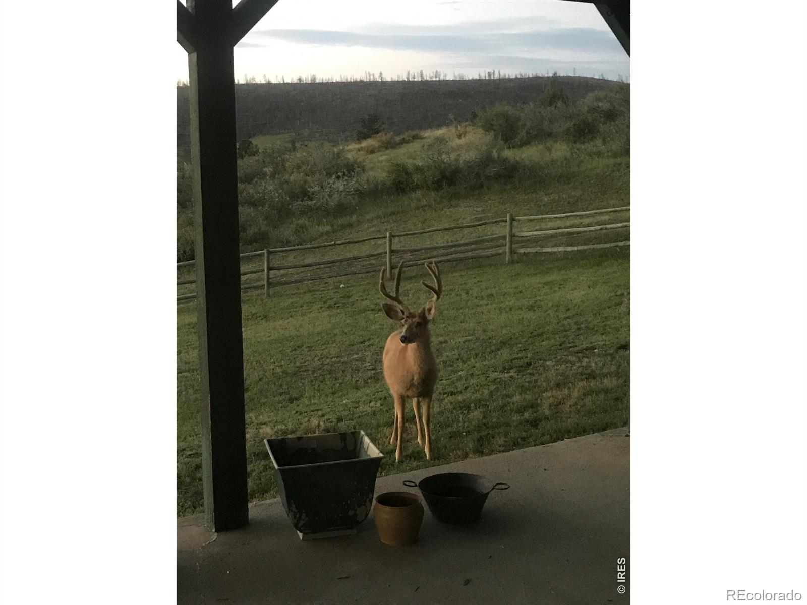 MLS Image #24 for 115  paca view court,livermore, Colorado