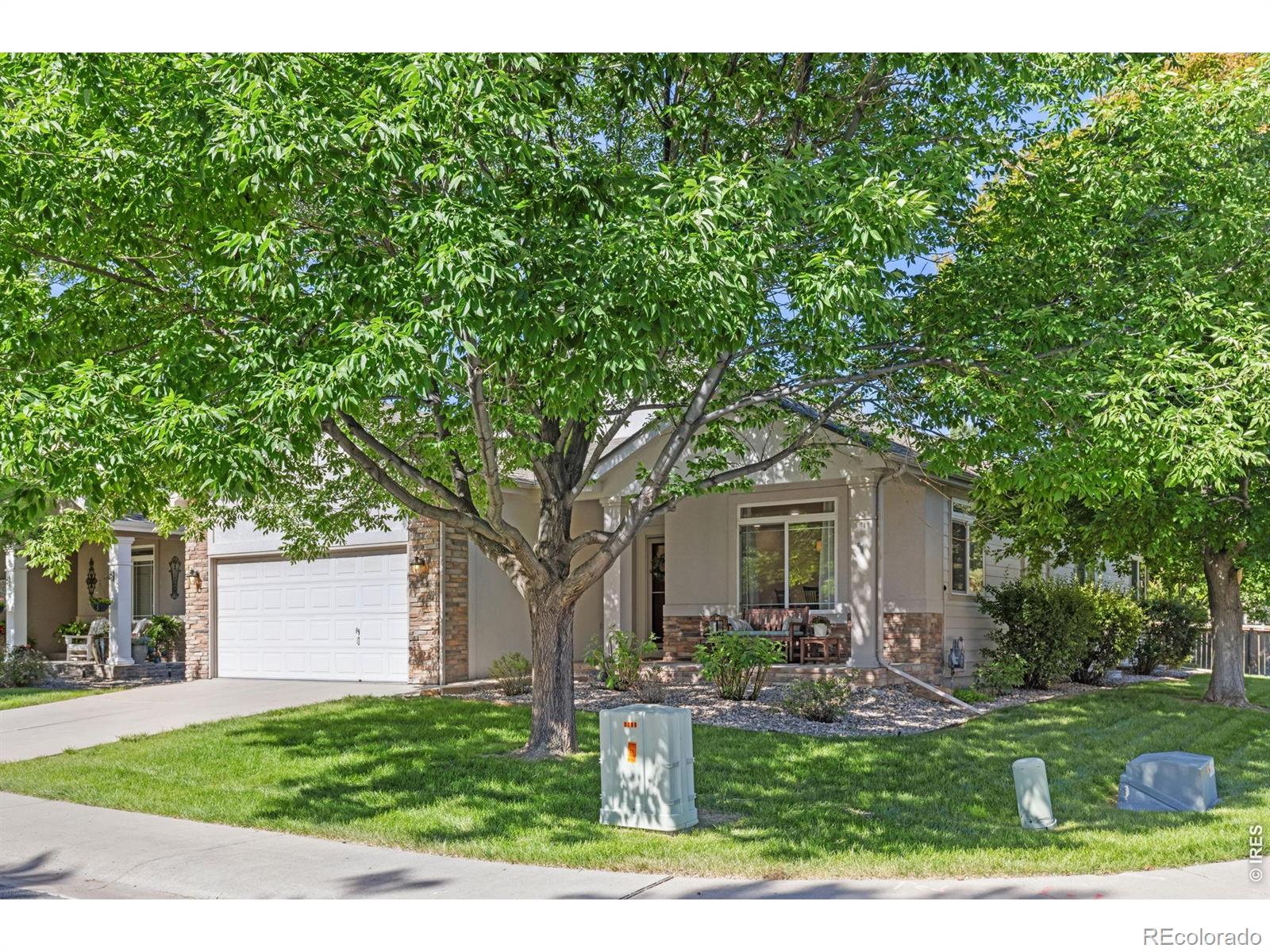 MLS Image #2 for 3799  flagler avenue,loveland, Colorado
