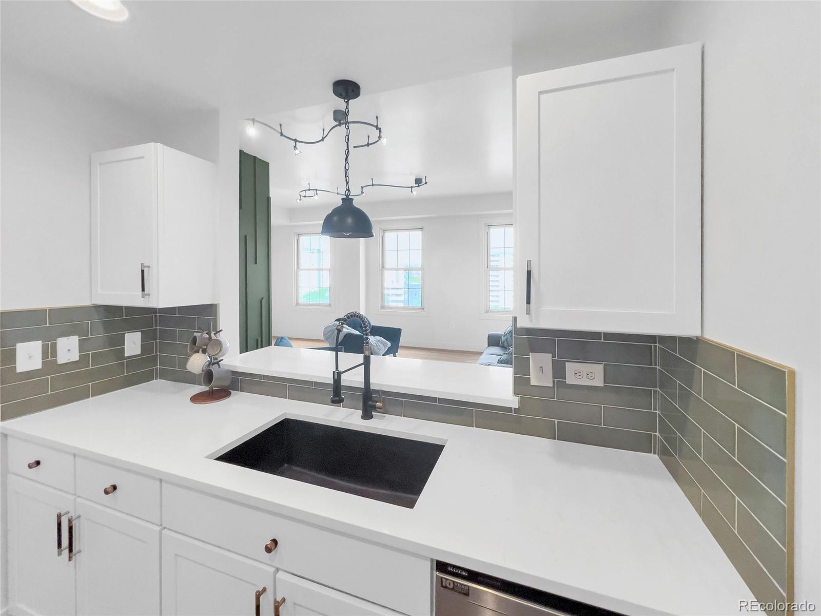 MLS Image #11 for 475 w 12th avenue 6b,denver, Colorado