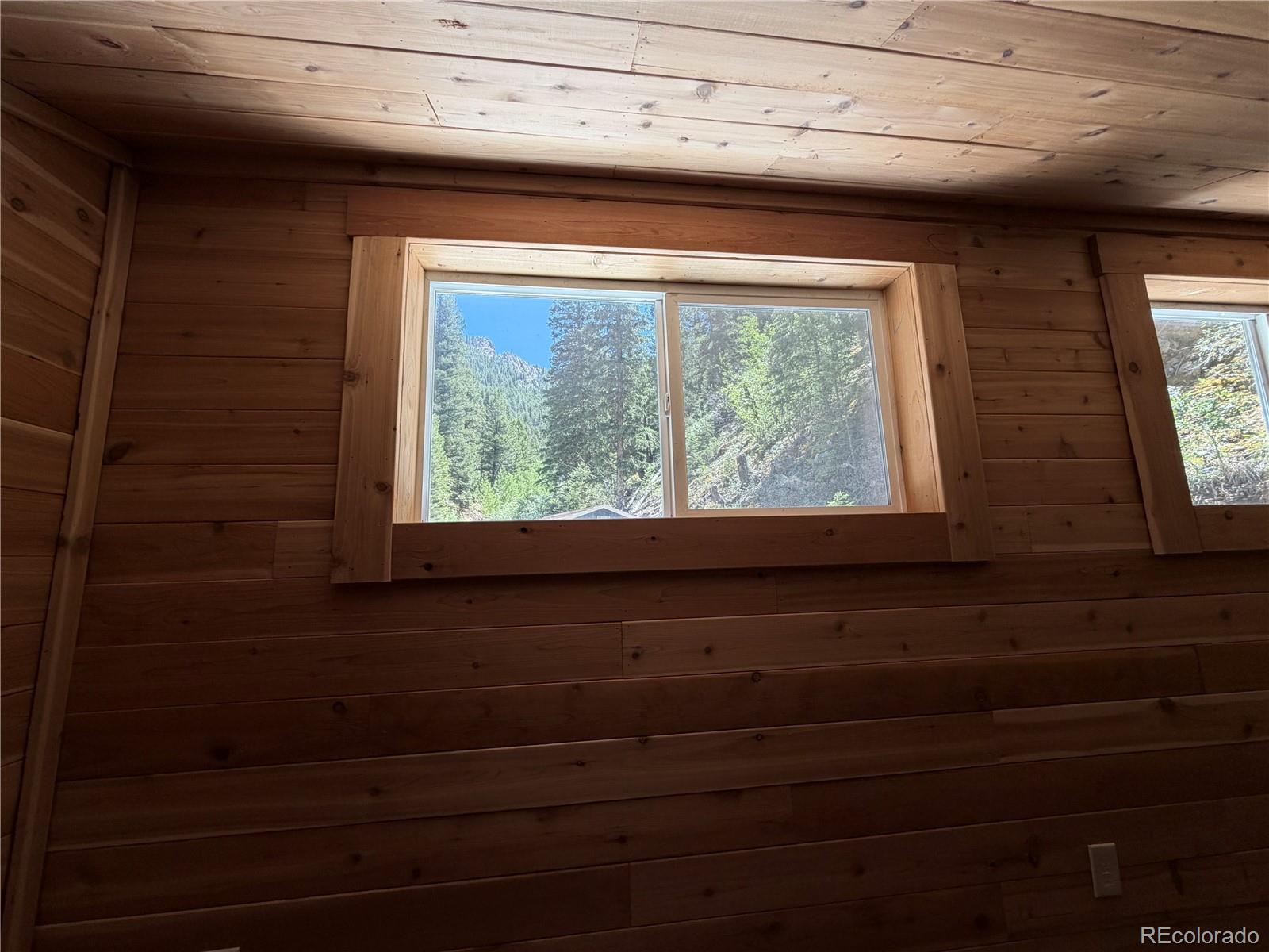 MLS Image #14 for 854  old little bear creek road,idaho springs, Colorado