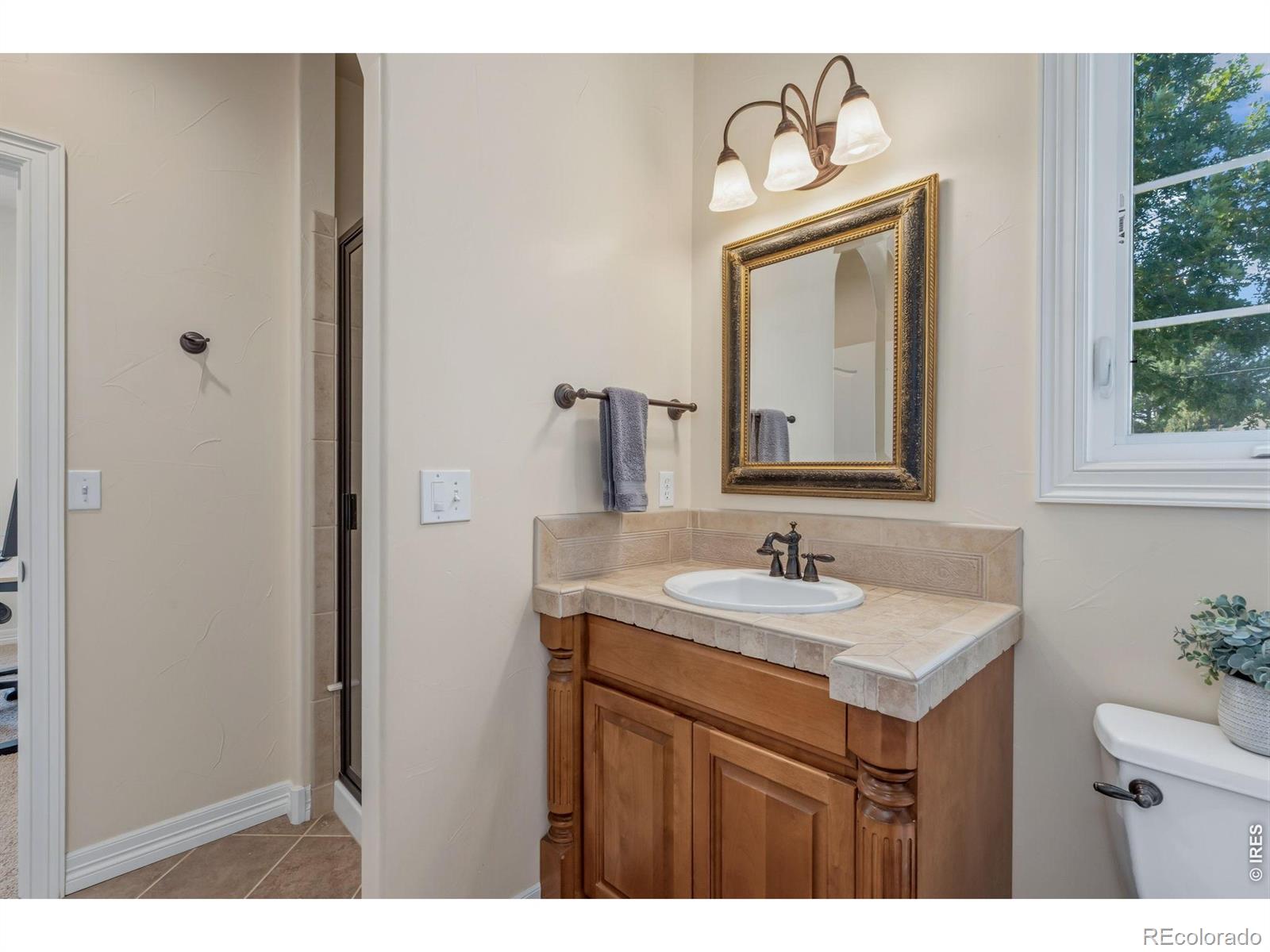 MLS Image #12 for 2703  treasure cove road,fort collins, Colorado