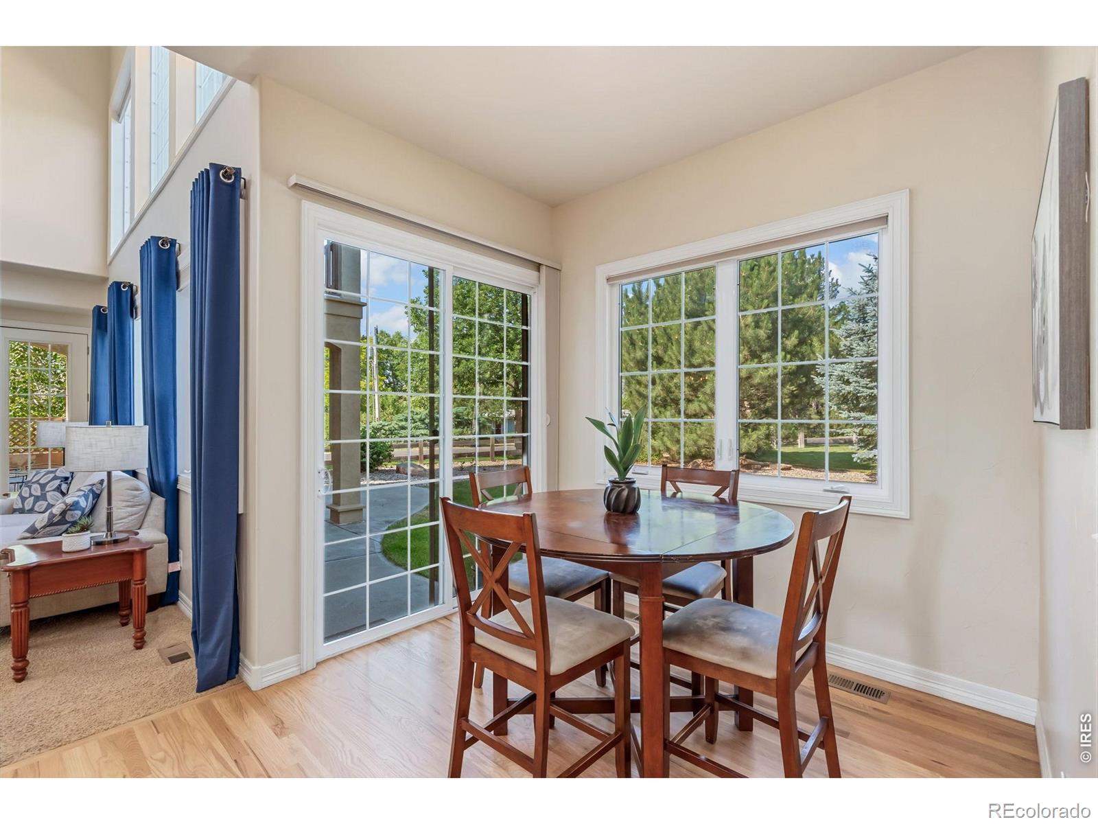 MLS Image #18 for 2703  treasure cove road,fort collins, Colorado