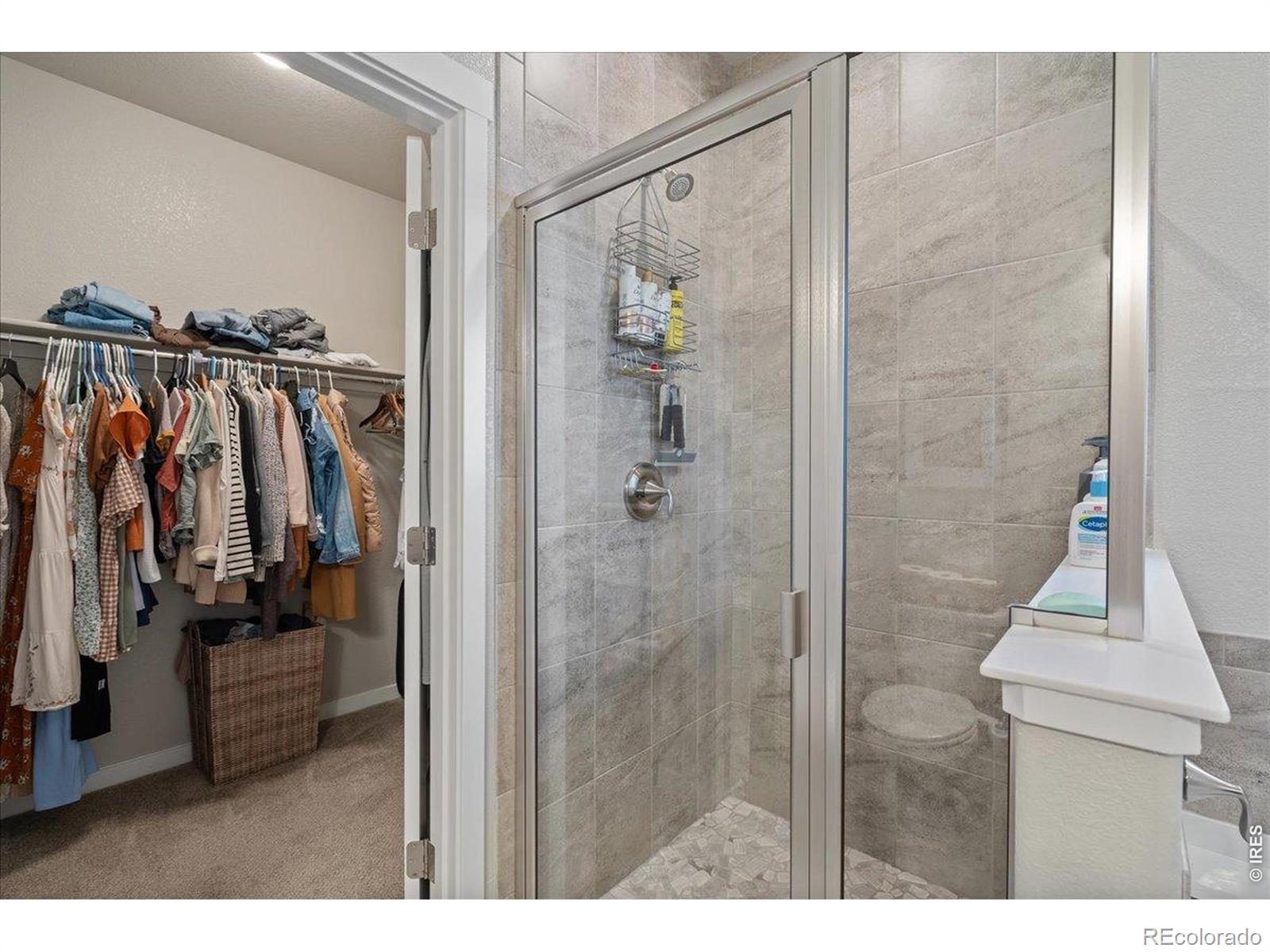 MLS Image #21 for 1840  holloway drive,windsor, Colorado