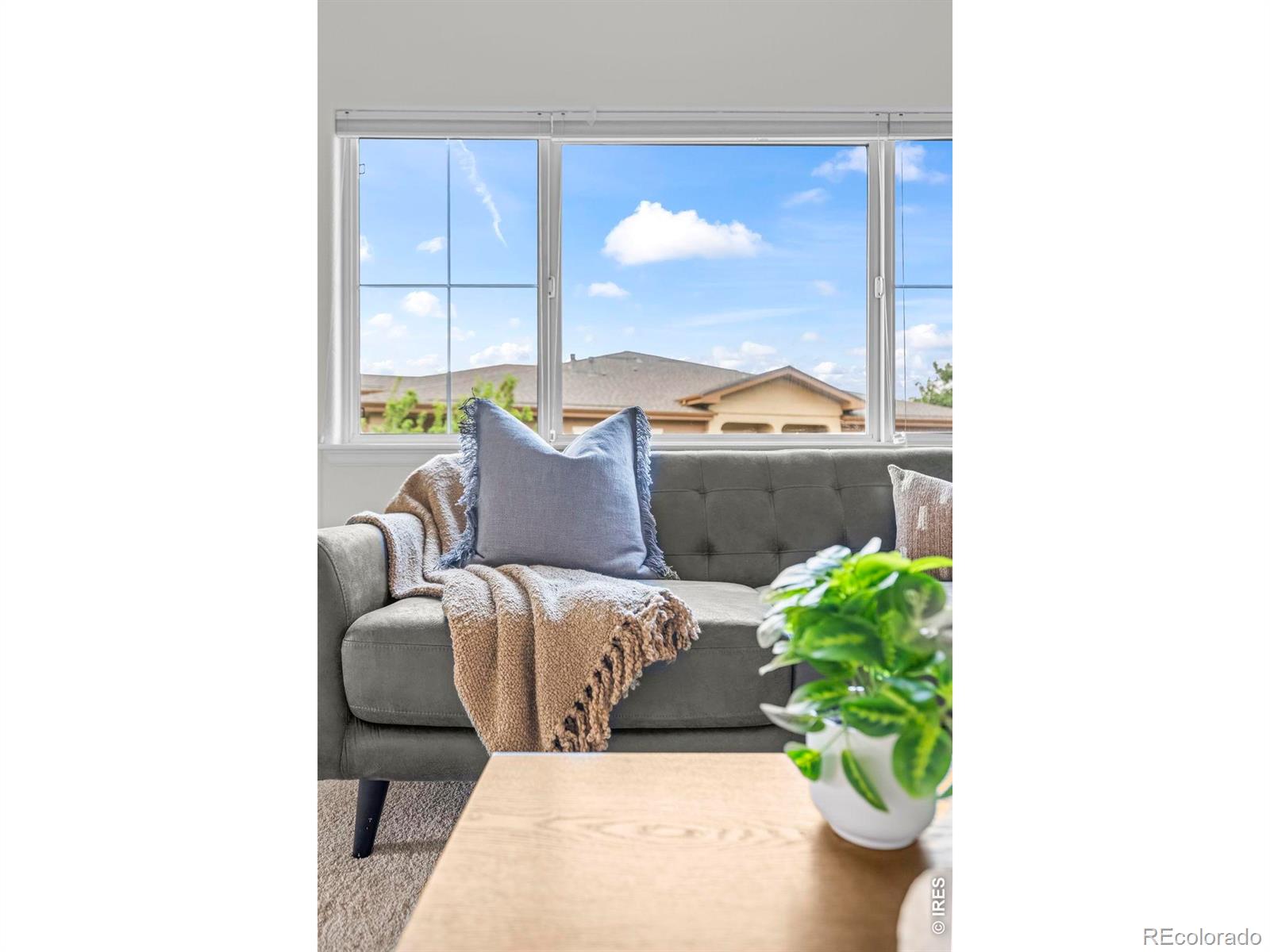 MLS Image #13 for 2125  calais drive,longmont, Colorado