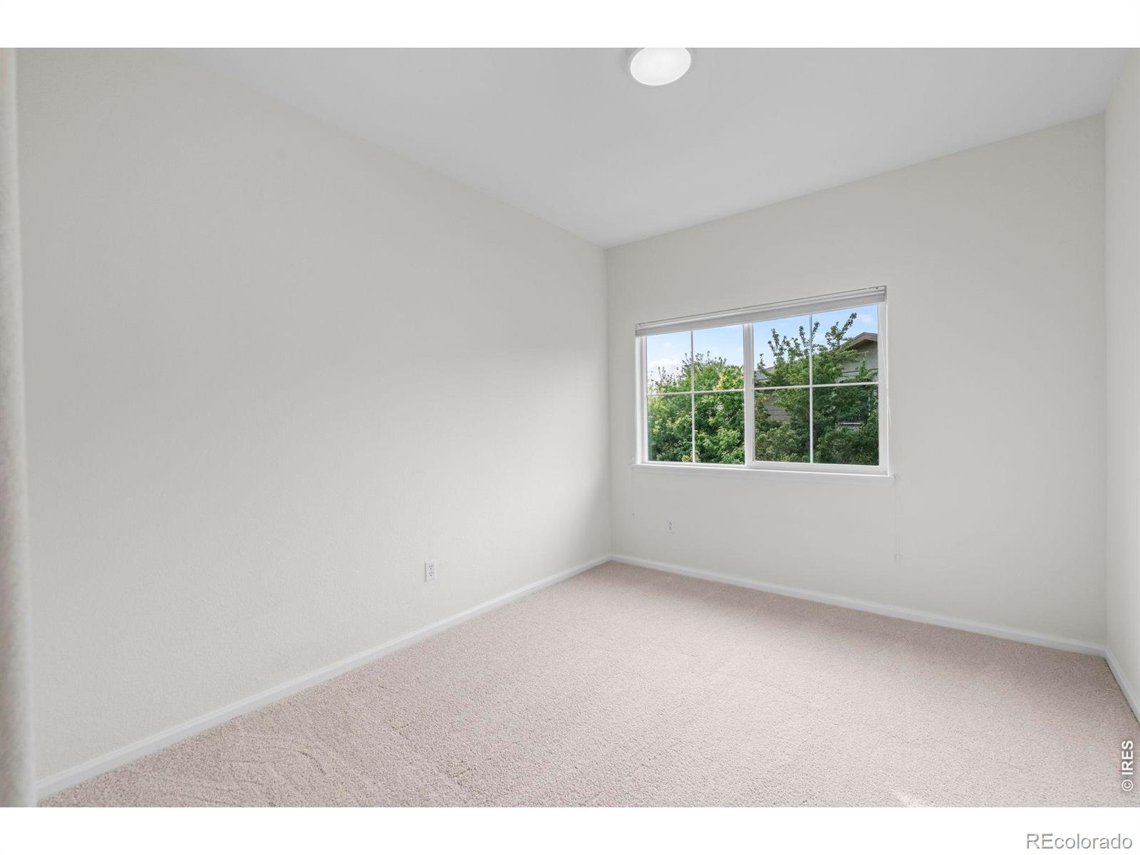 MLS Image #19 for 2125  calais drive,longmont, Colorado