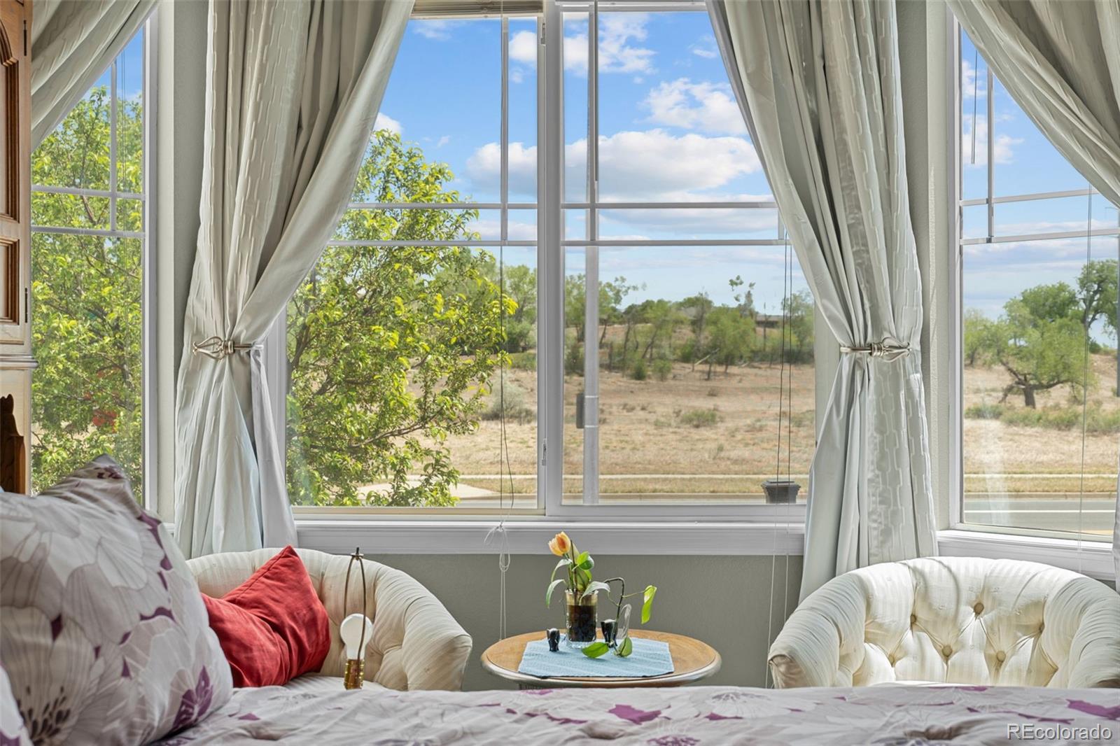 MLS Image #26 for 1848  idalia court,loveland, Colorado