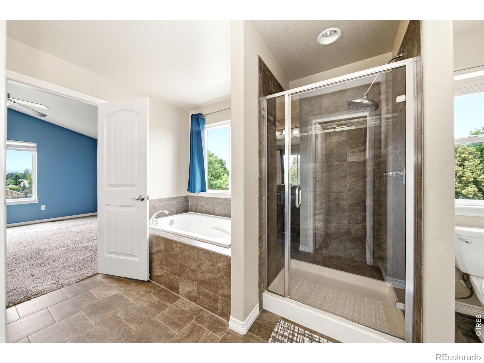 MLS Image #20 for 503 s 5th street,berthoud, Colorado