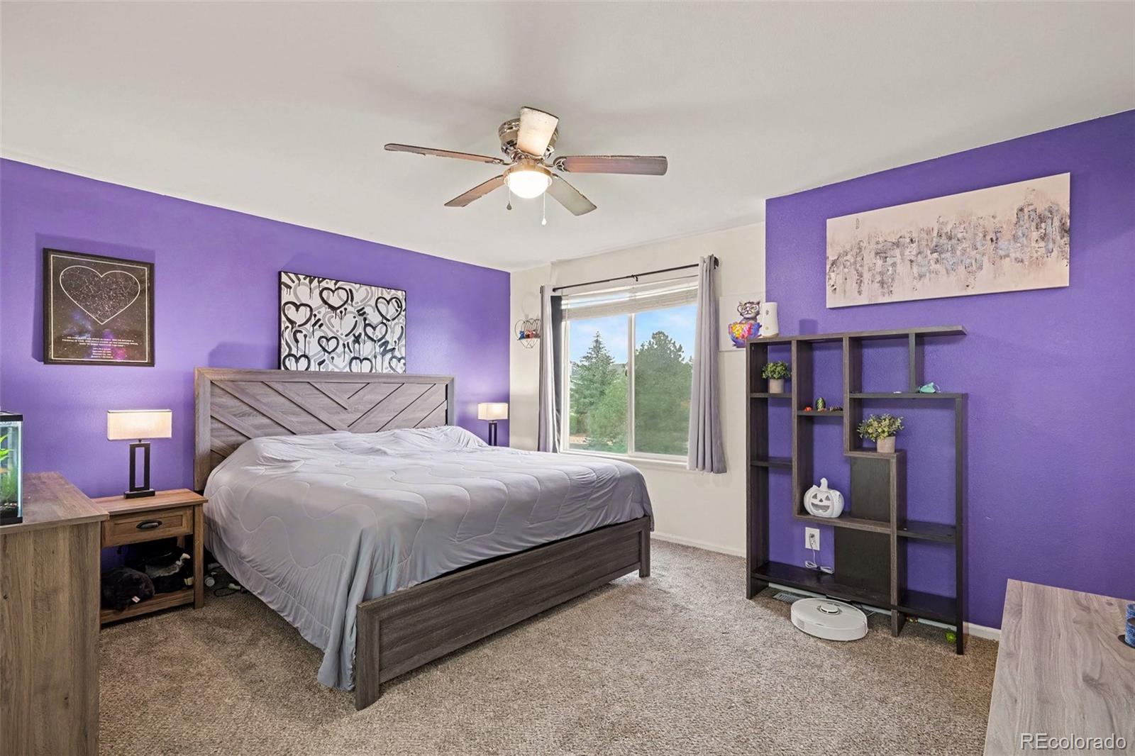 MLS Image #10 for 1309  parsons avenue,castle rock, Colorado