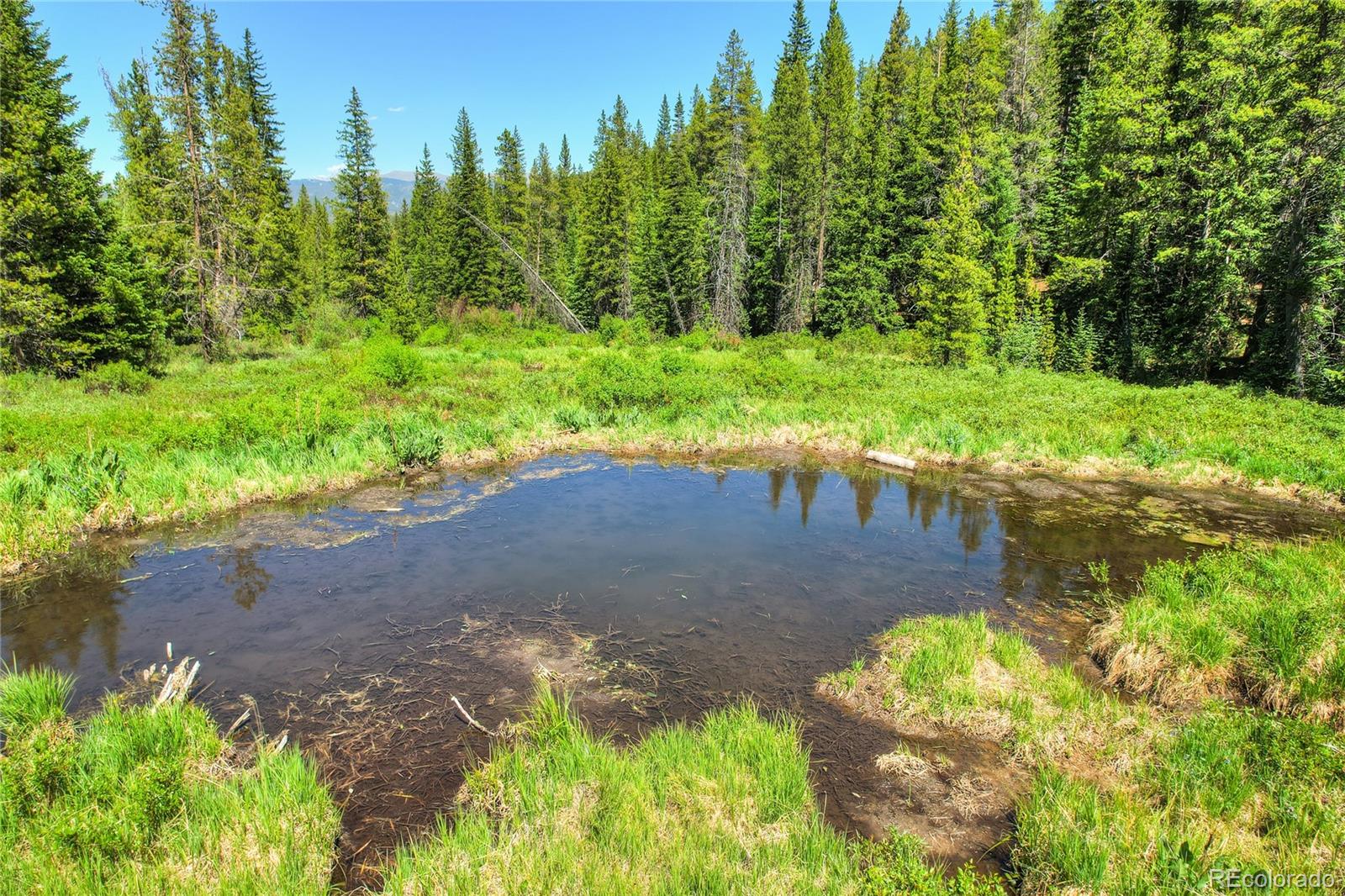 MLS Image #11 for 133  adams way,breckenridge, Colorado