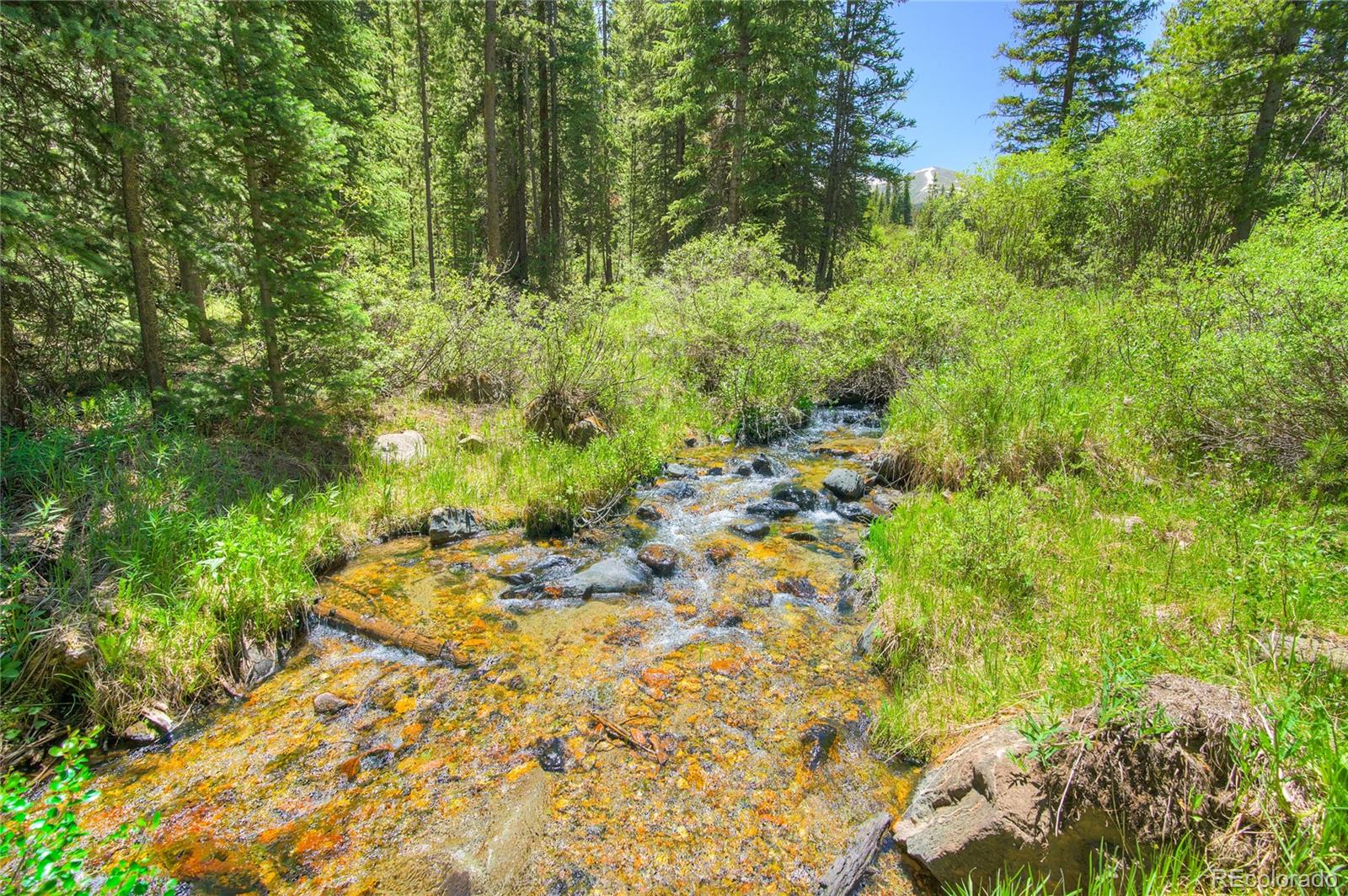 MLS Image #12 for 133  adams way,breckenridge, Colorado