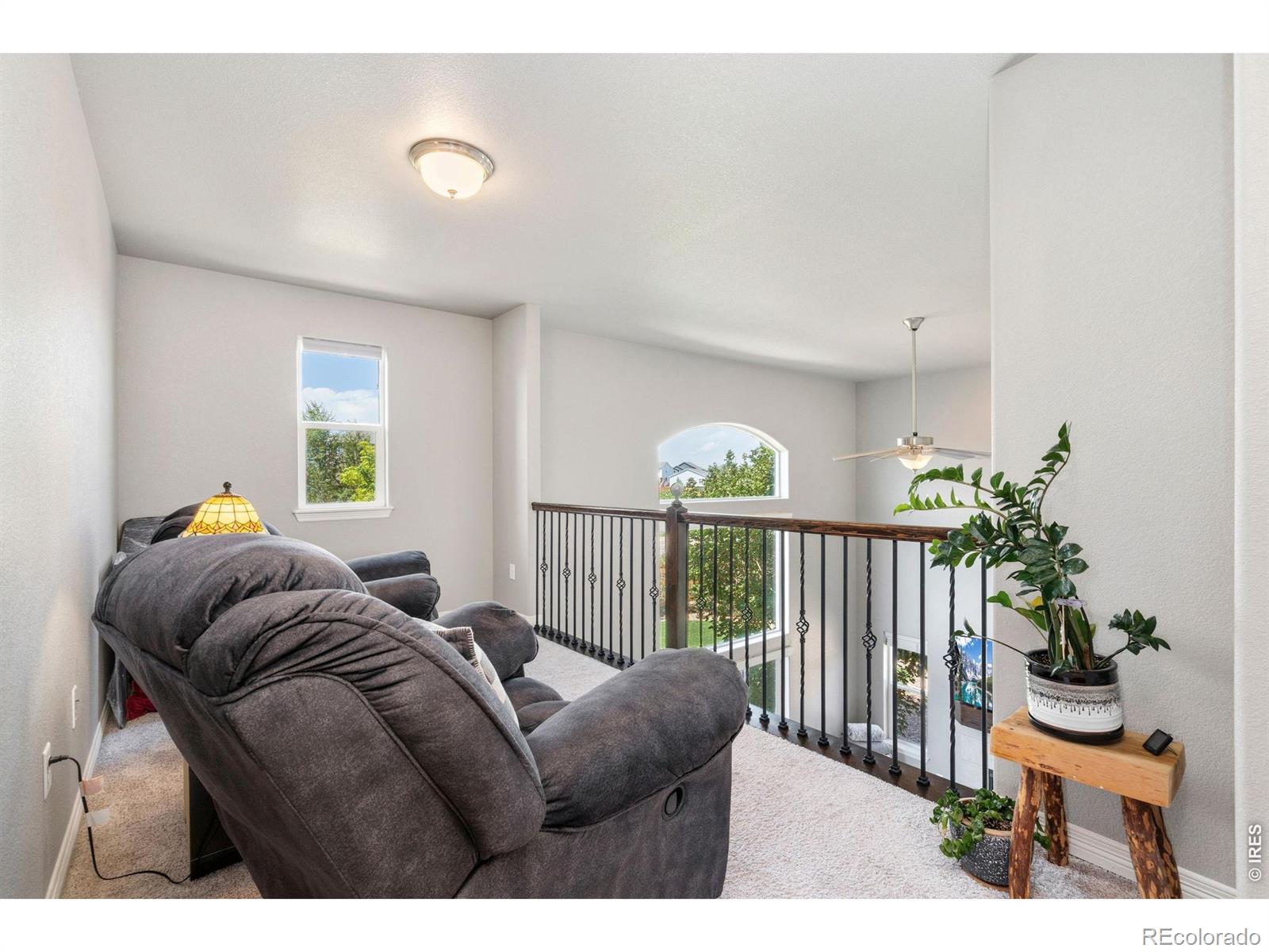 MLS Image #30 for 1456  moraine valley drive,severance, Colorado
