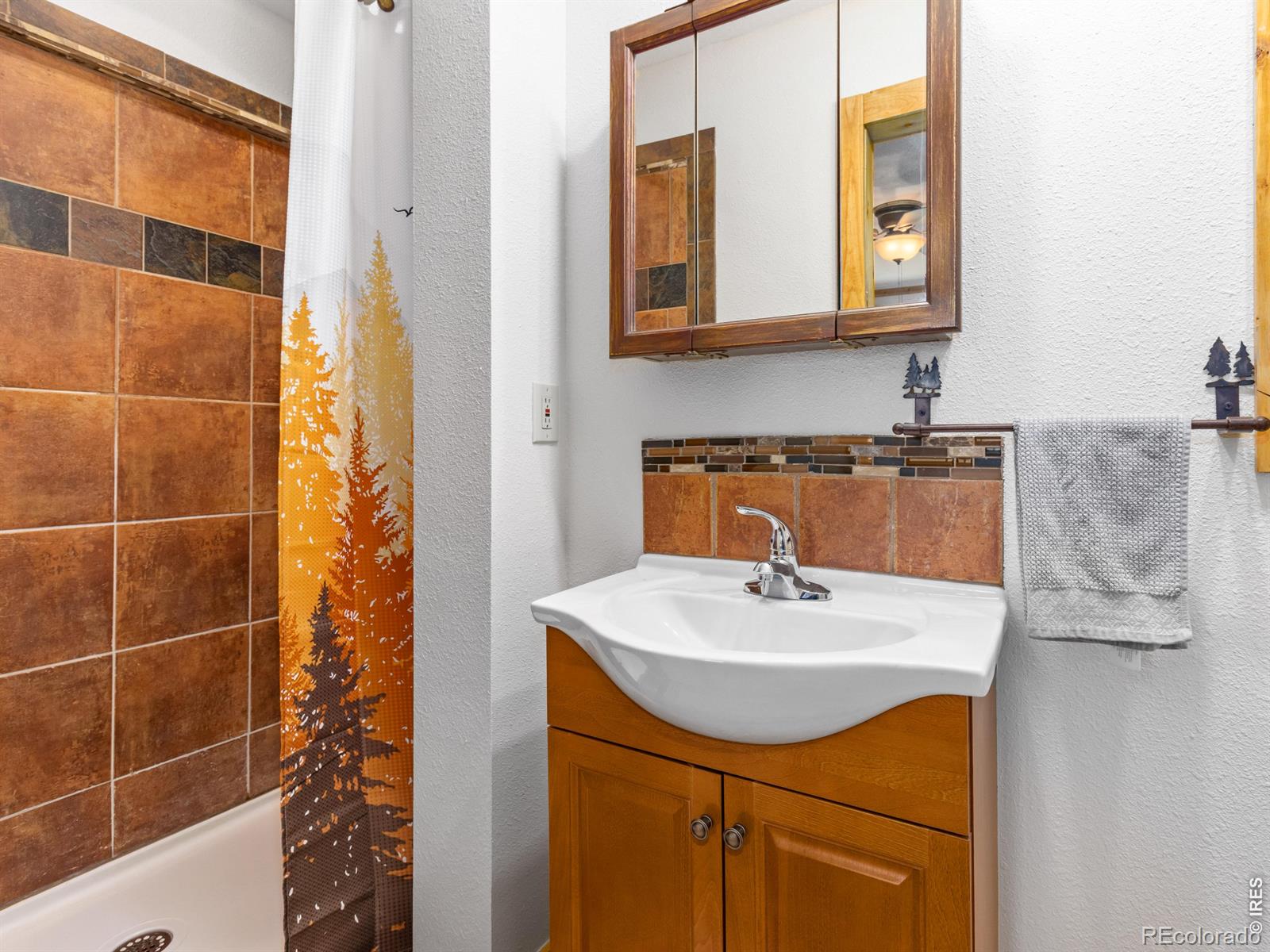 MLS Image #21 for 1817  ranch circle,estes park, Colorado