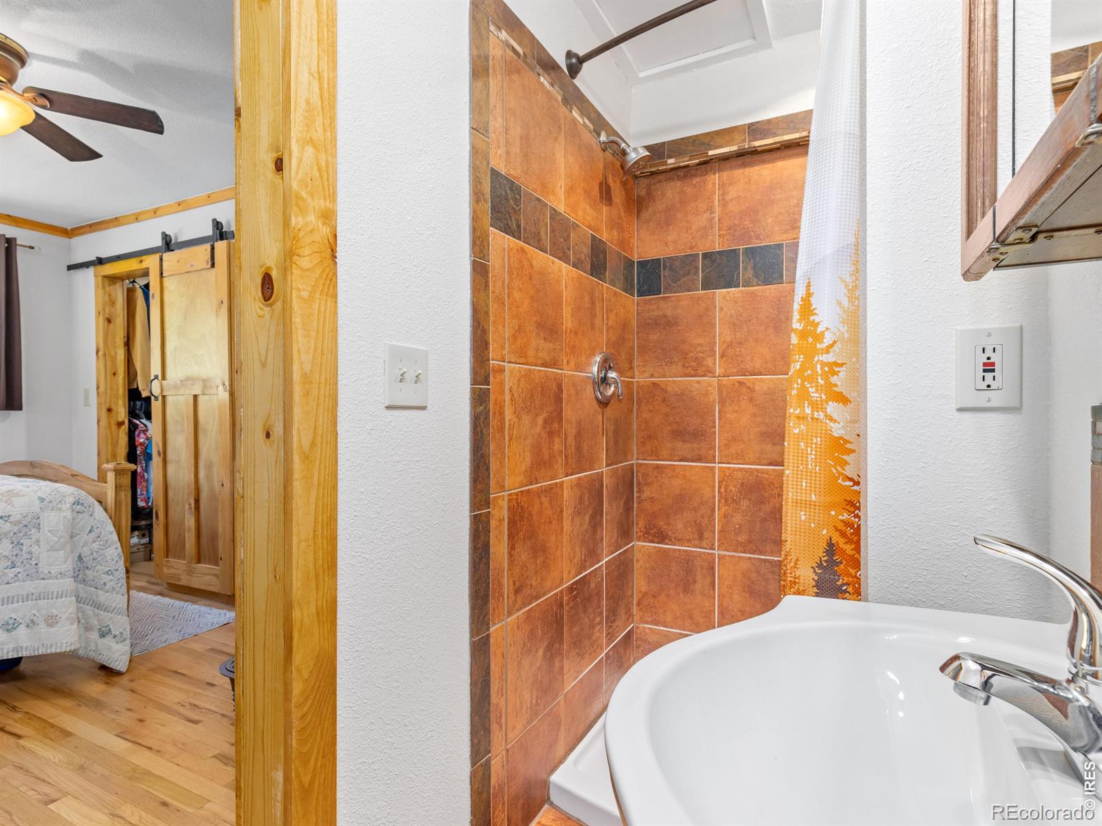 MLS Image #22 for 1817  ranch circle,estes park, Colorado
